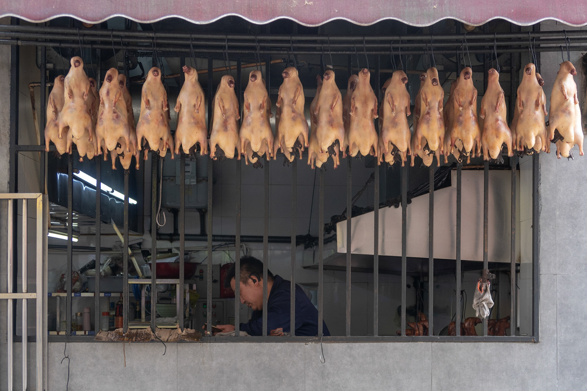 103 - Guangzhou - All Your Ducks In A Row
