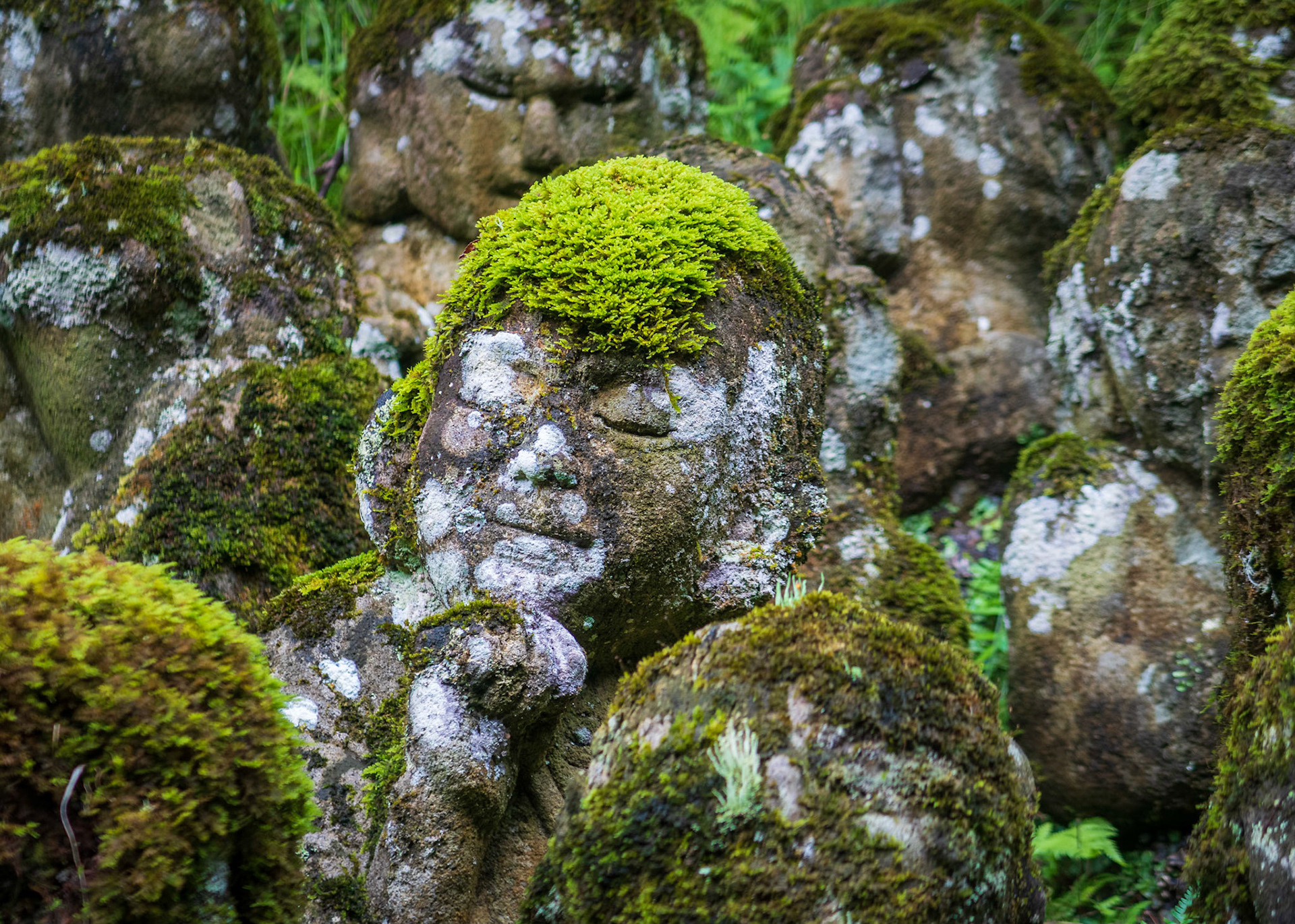 Contemplation