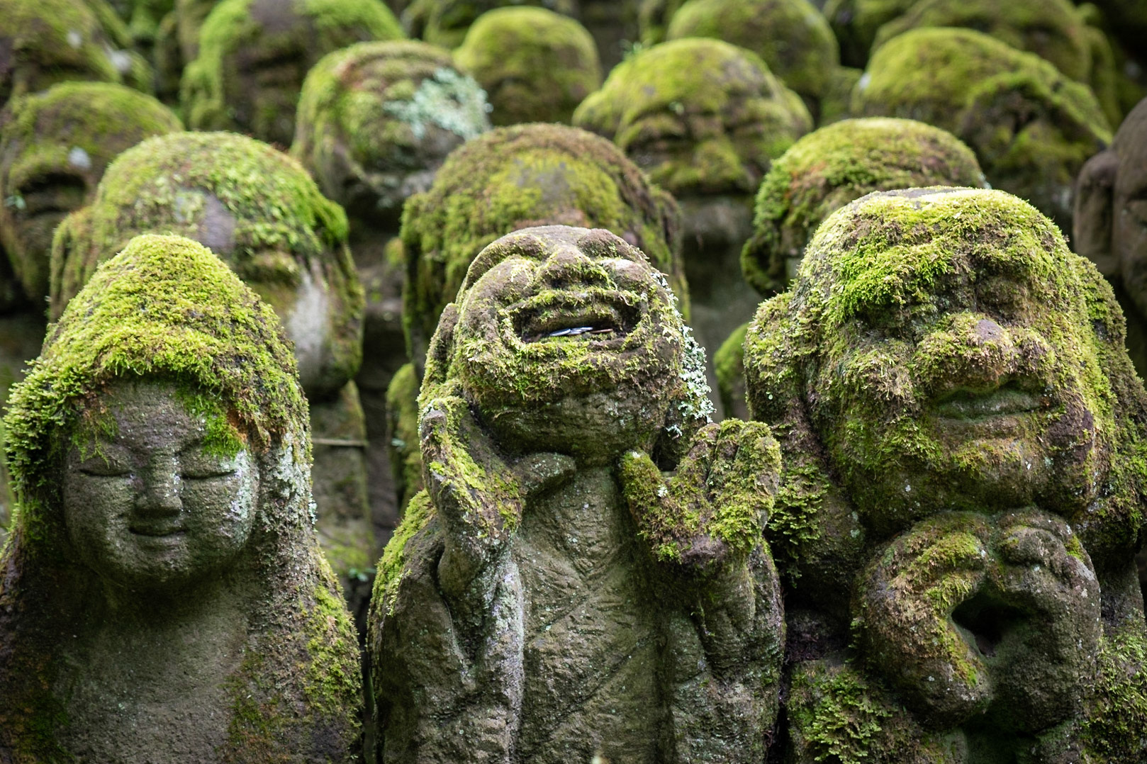 Smile if you are feeling Happy