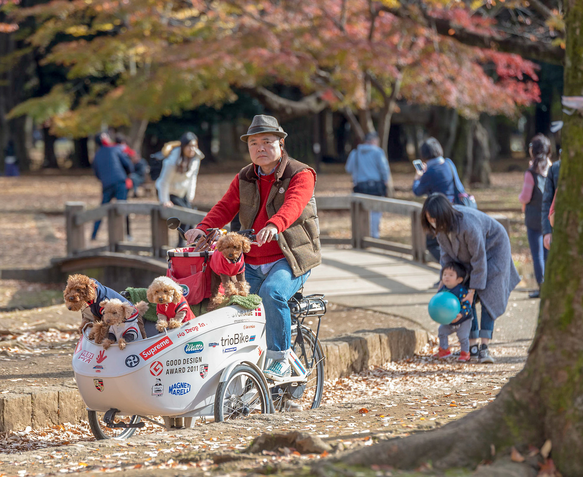 This was shot in Yoyogi Park in Tokyo. Beautiful place in to photograph great people in November.