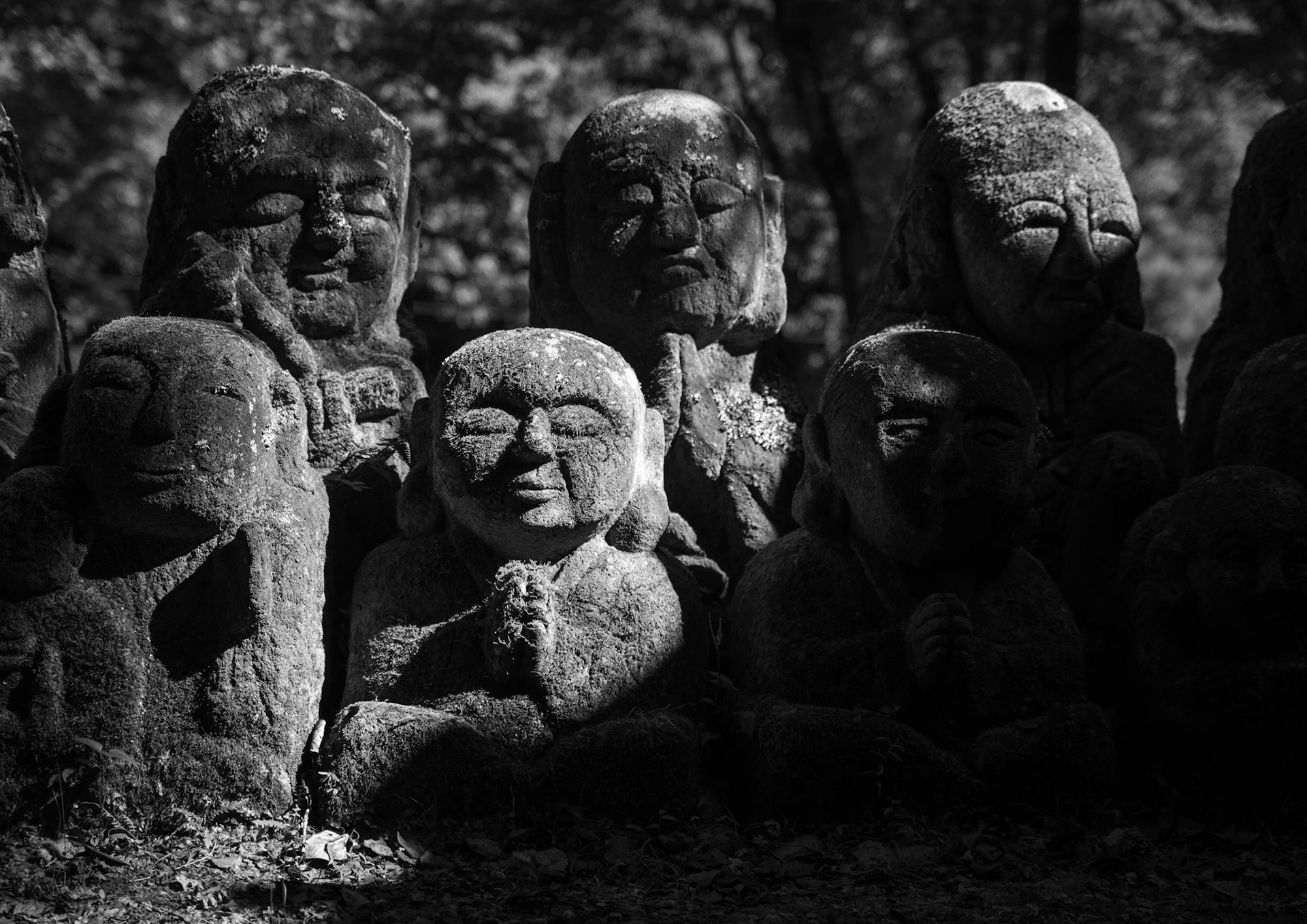 Rakkan basking in the sun