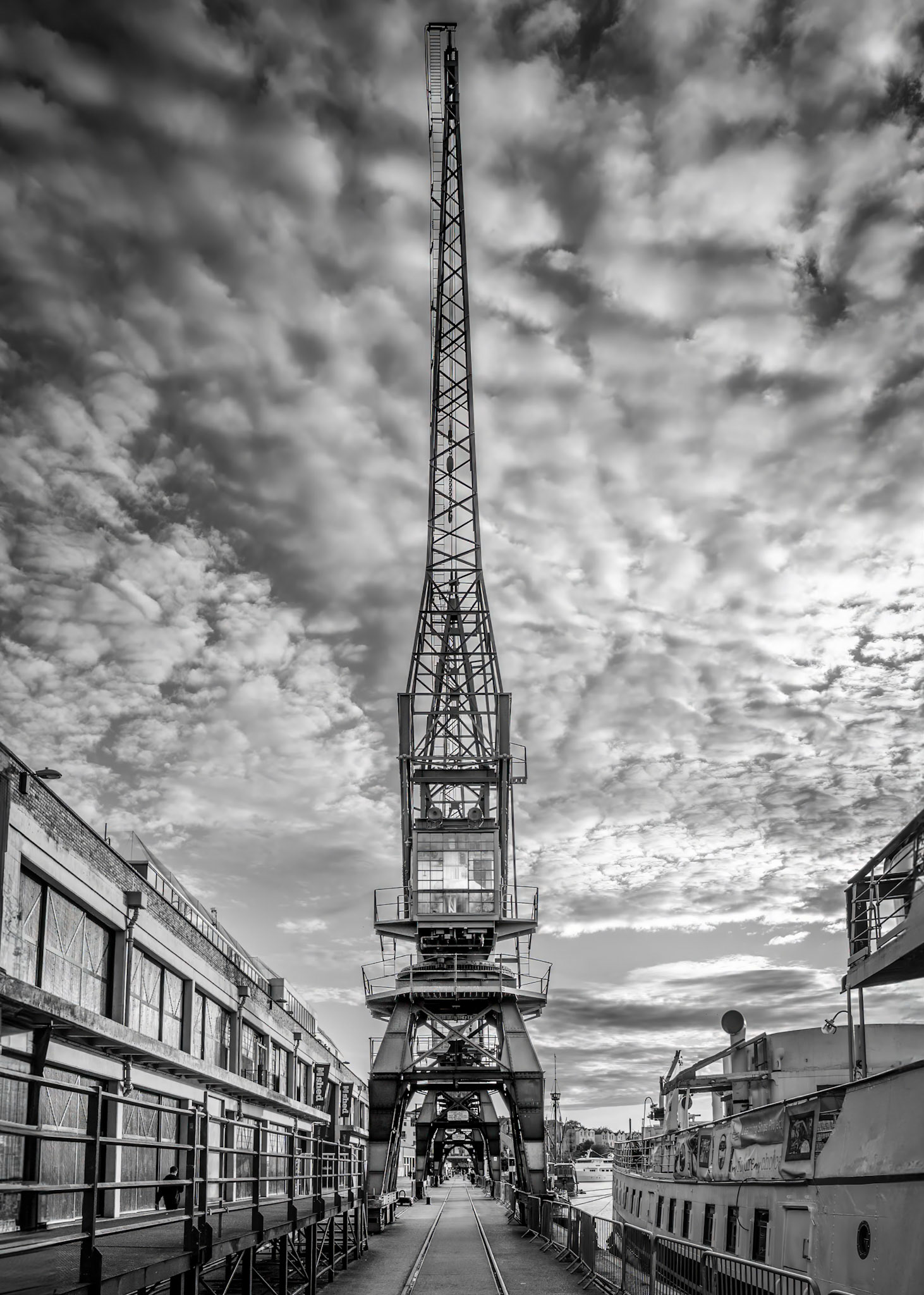 Harbour Cranes