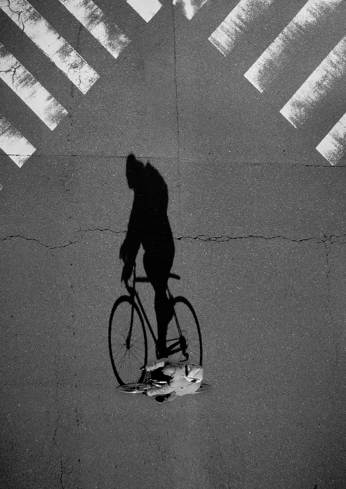 The Cyclist