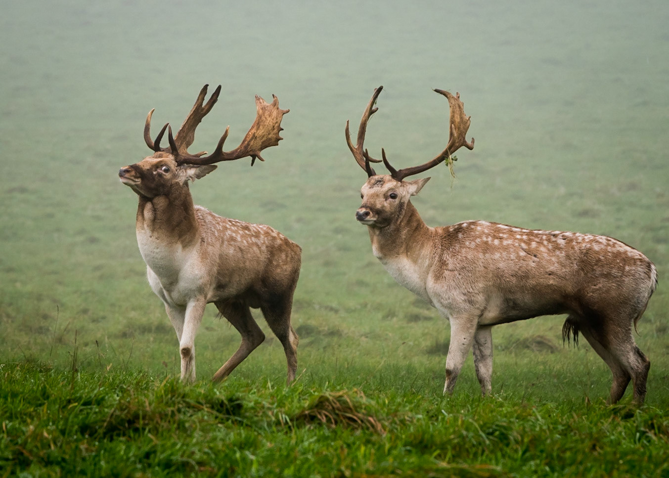 Checking Out The Competition