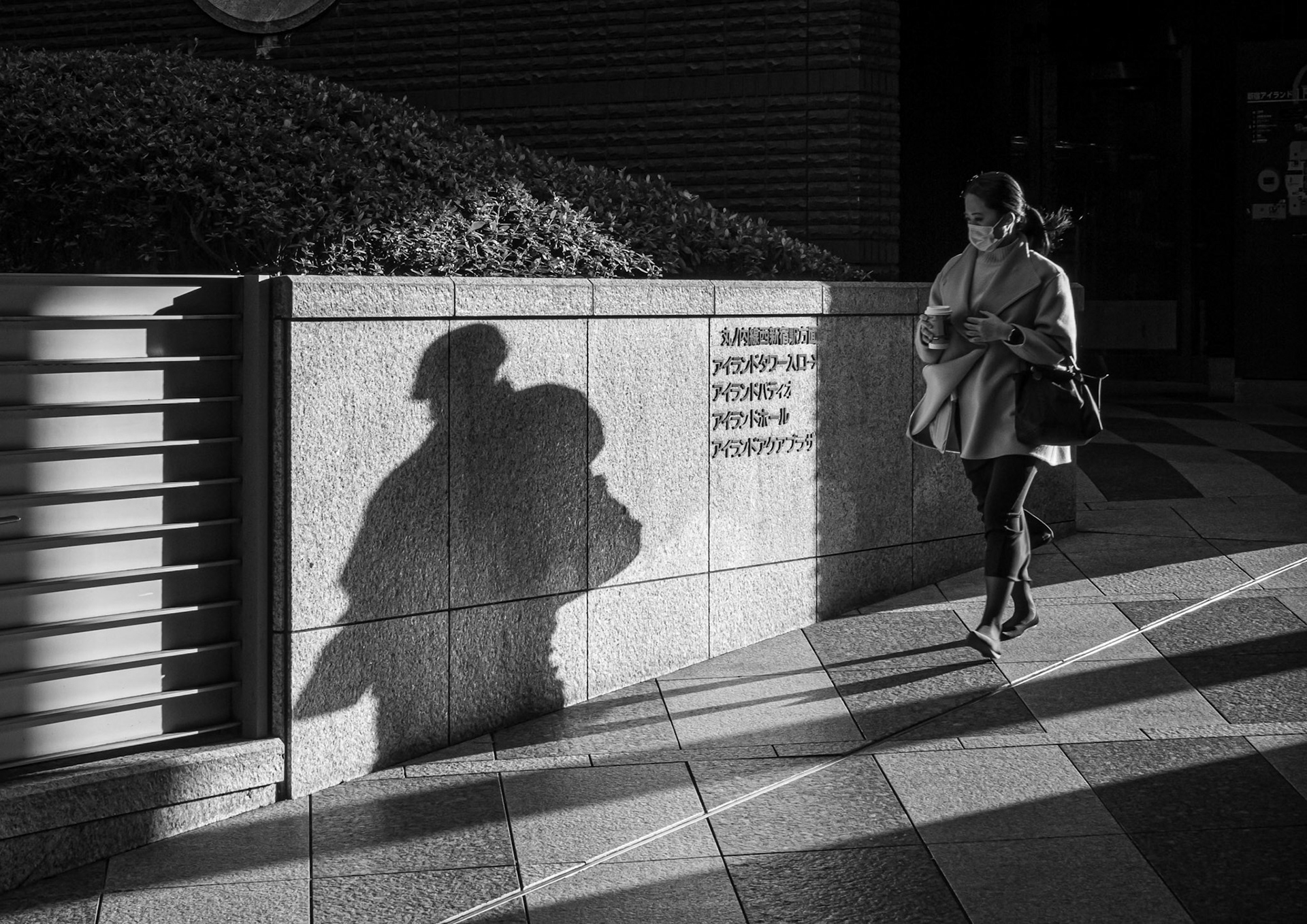 Soldier in the Shandows