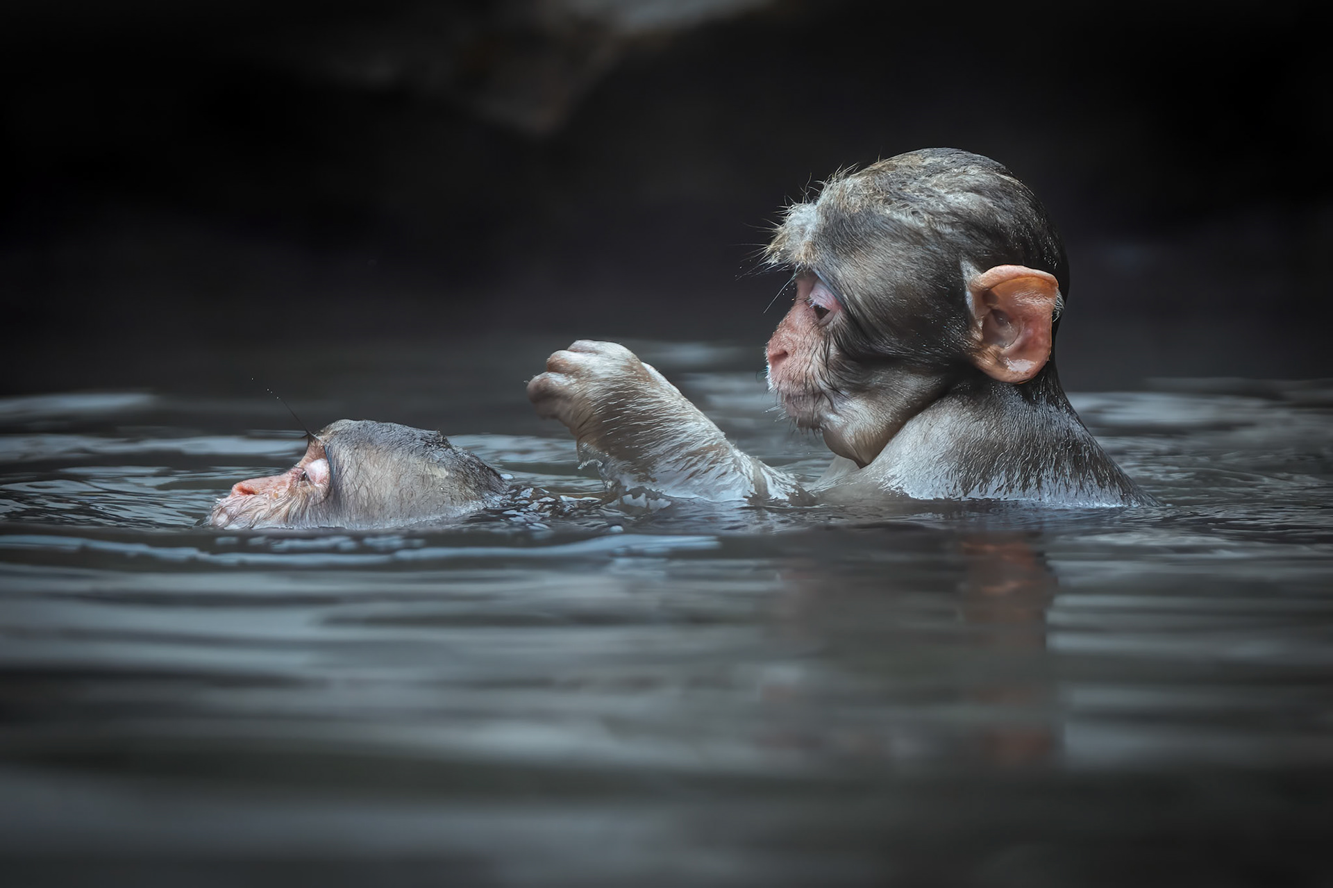 Hot Spring Hair Care