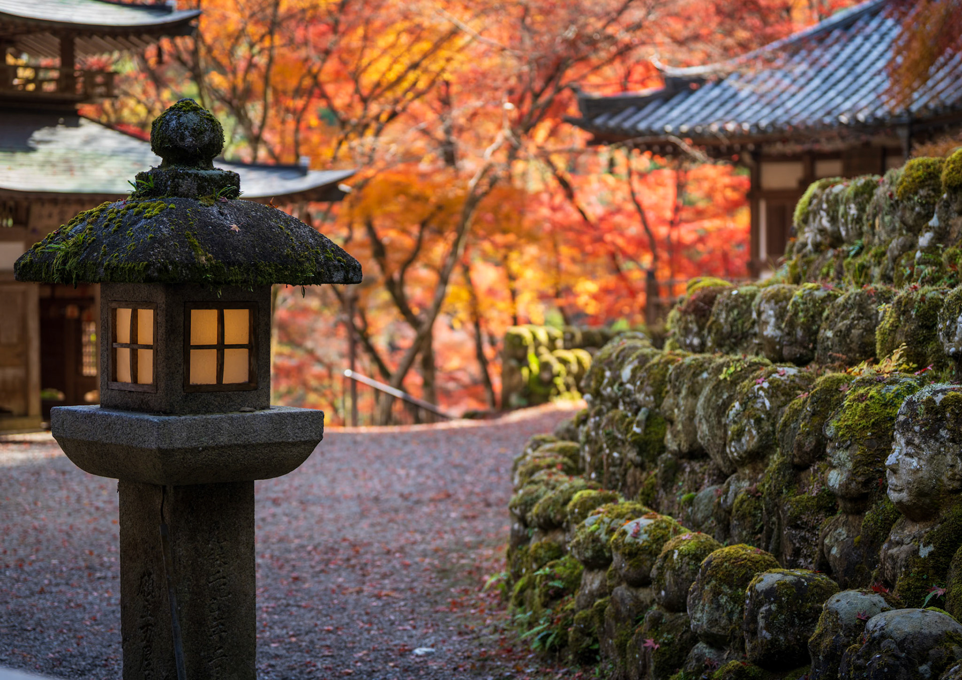 Autumn at Otagi Nebutsu-ji