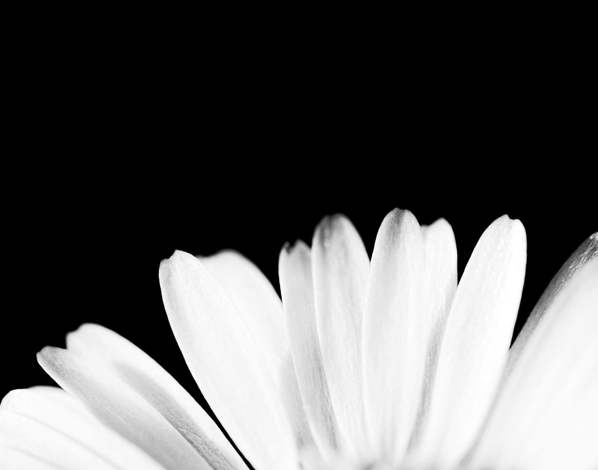 © Marion CALERO
