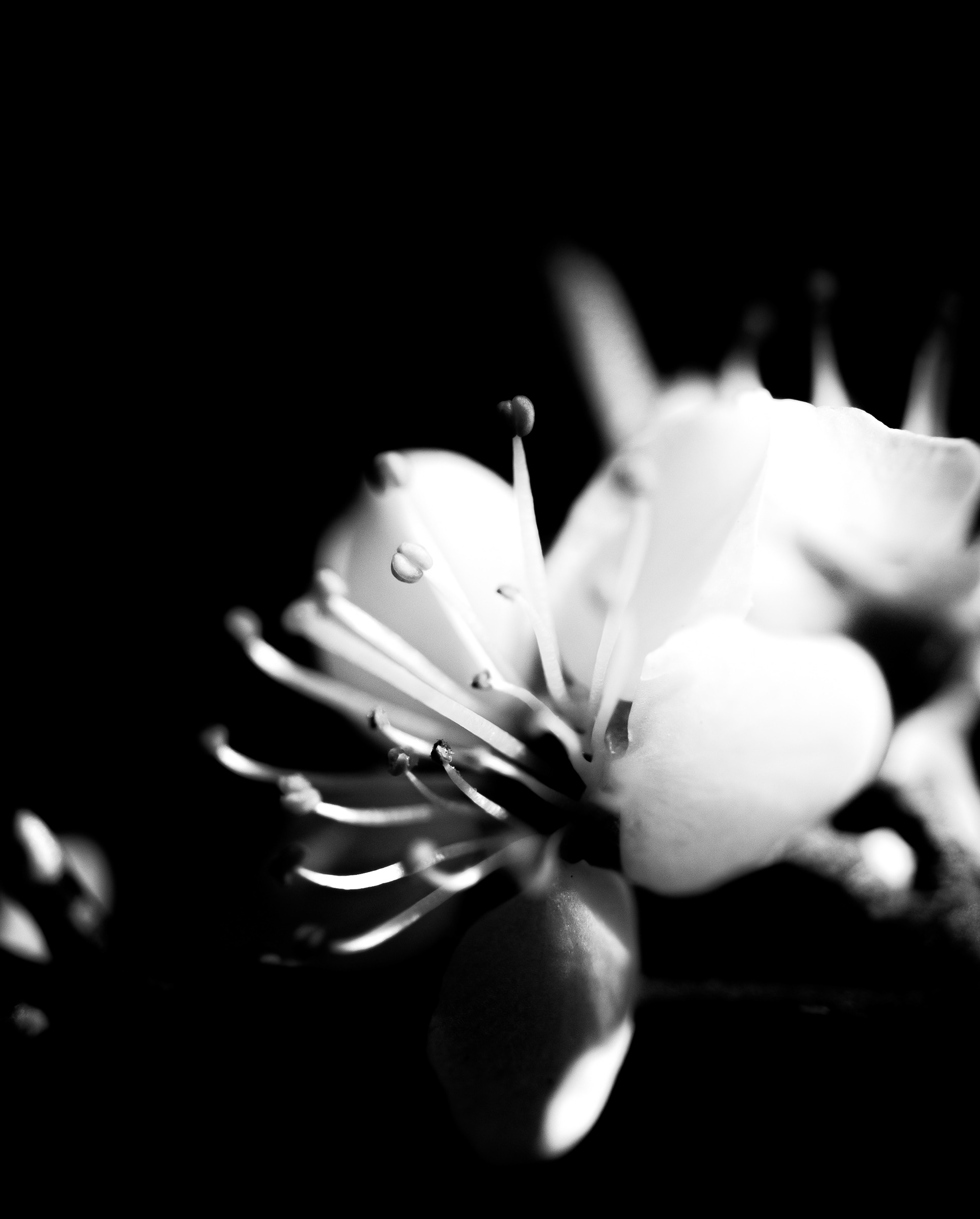 © Marion CALERO