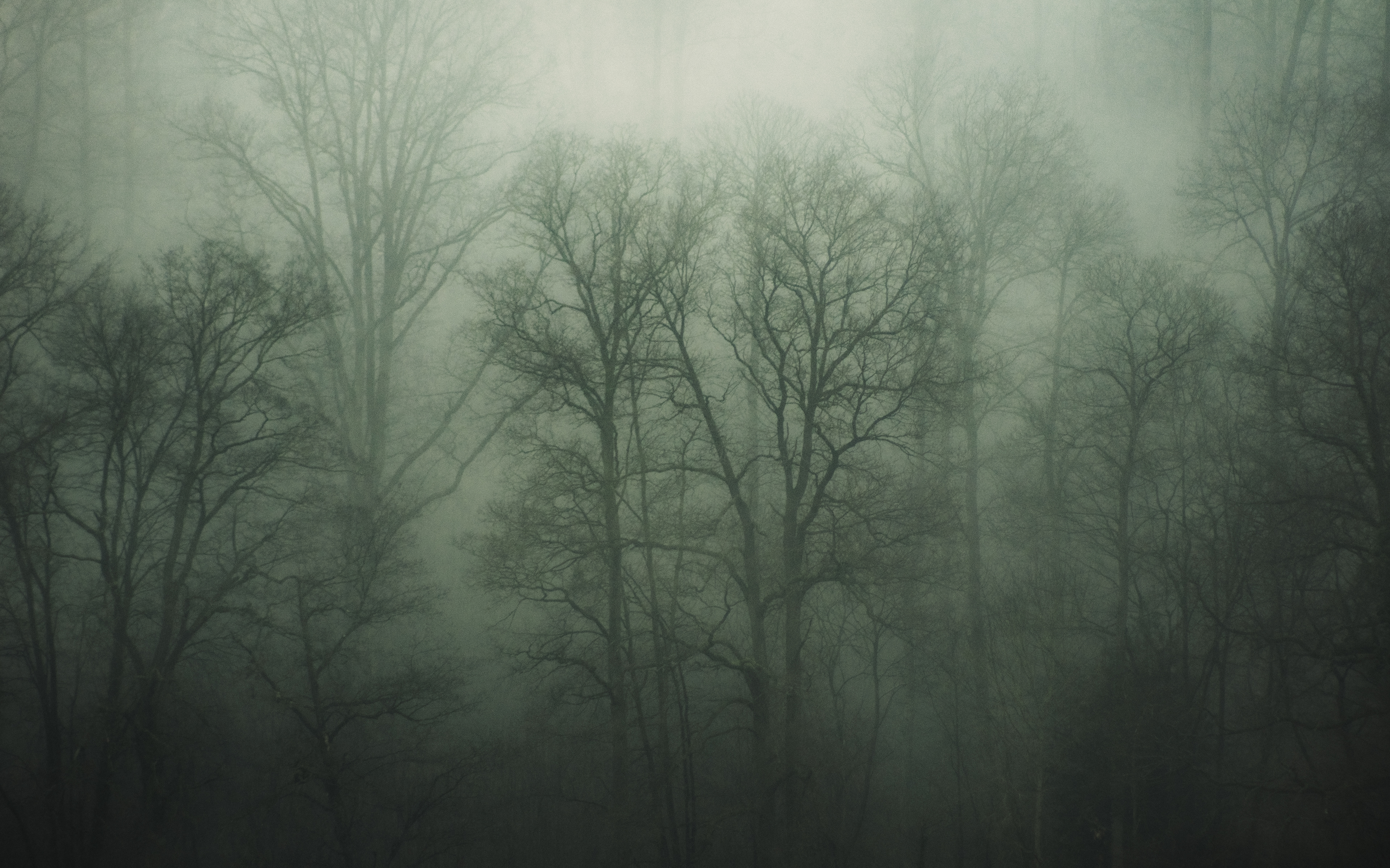 © Marion CALERO