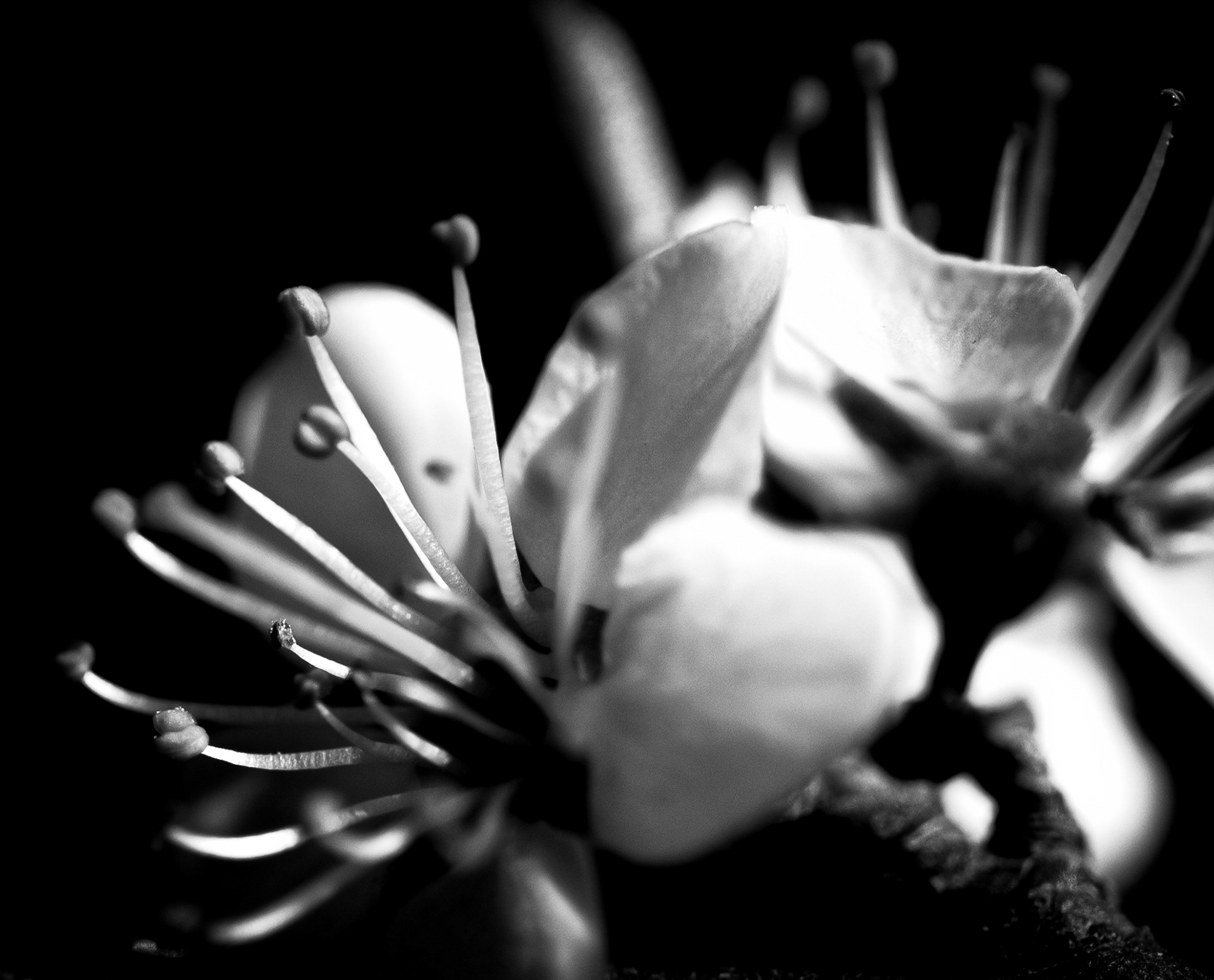 © Marion CALERO