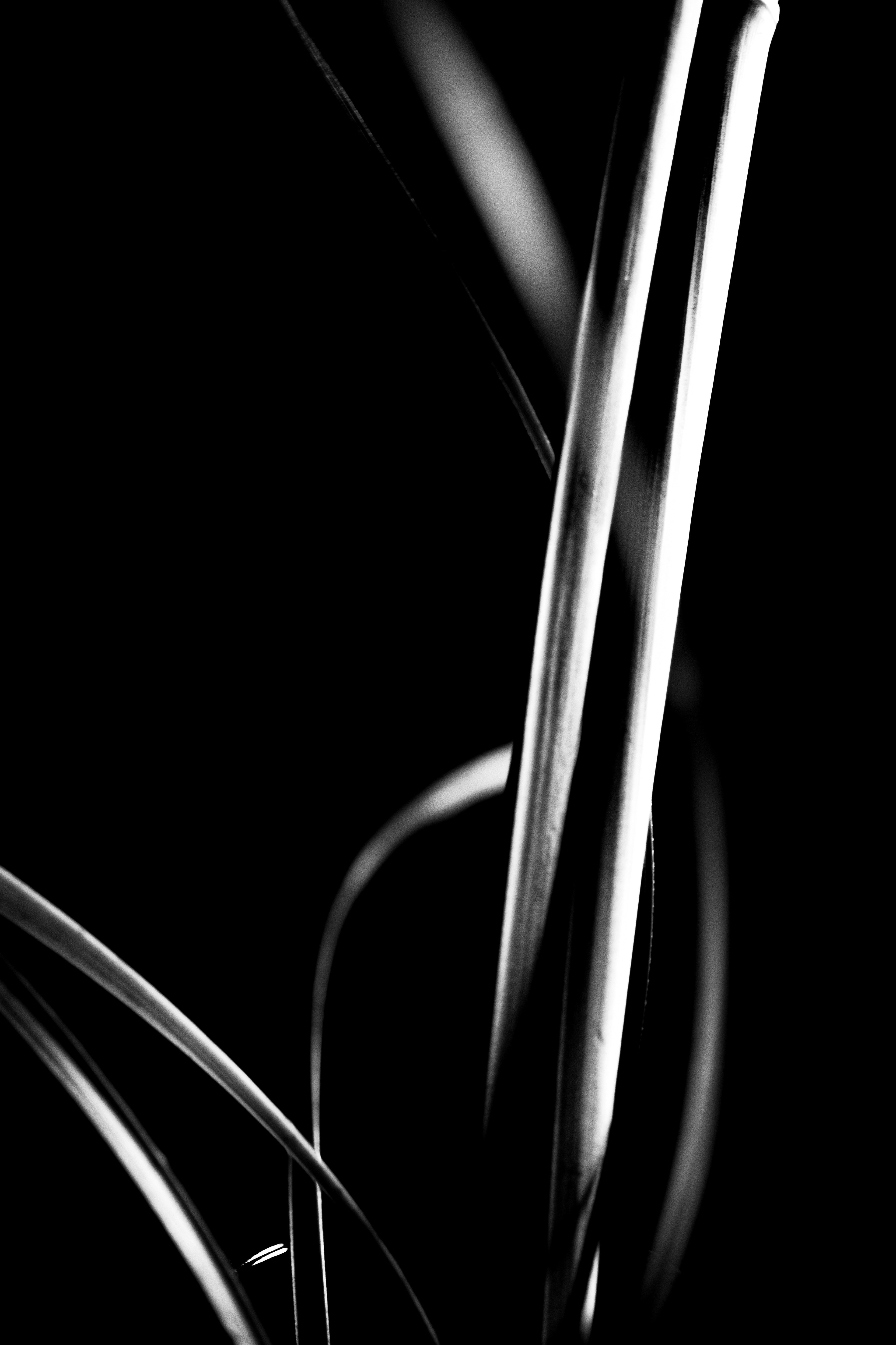 © Marion CALERO
