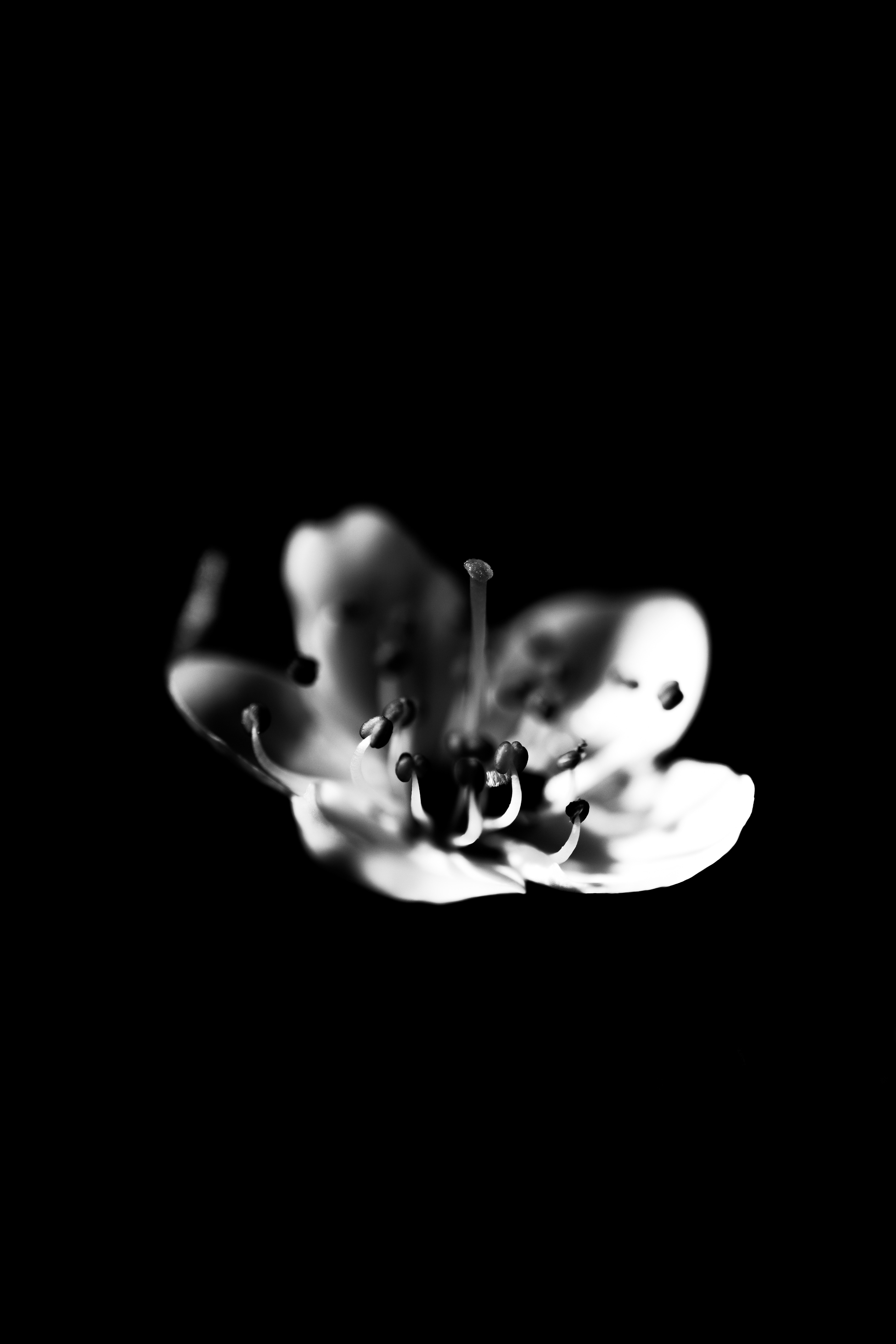 © Marion CALERO