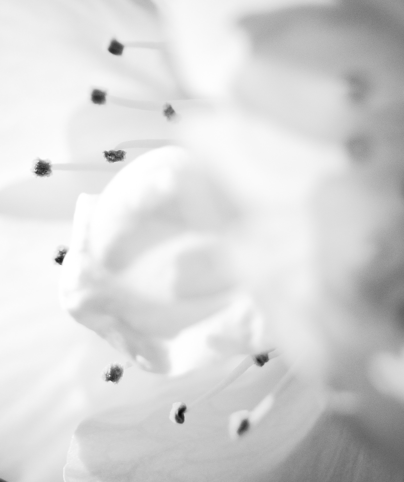 © Marion CALERO
