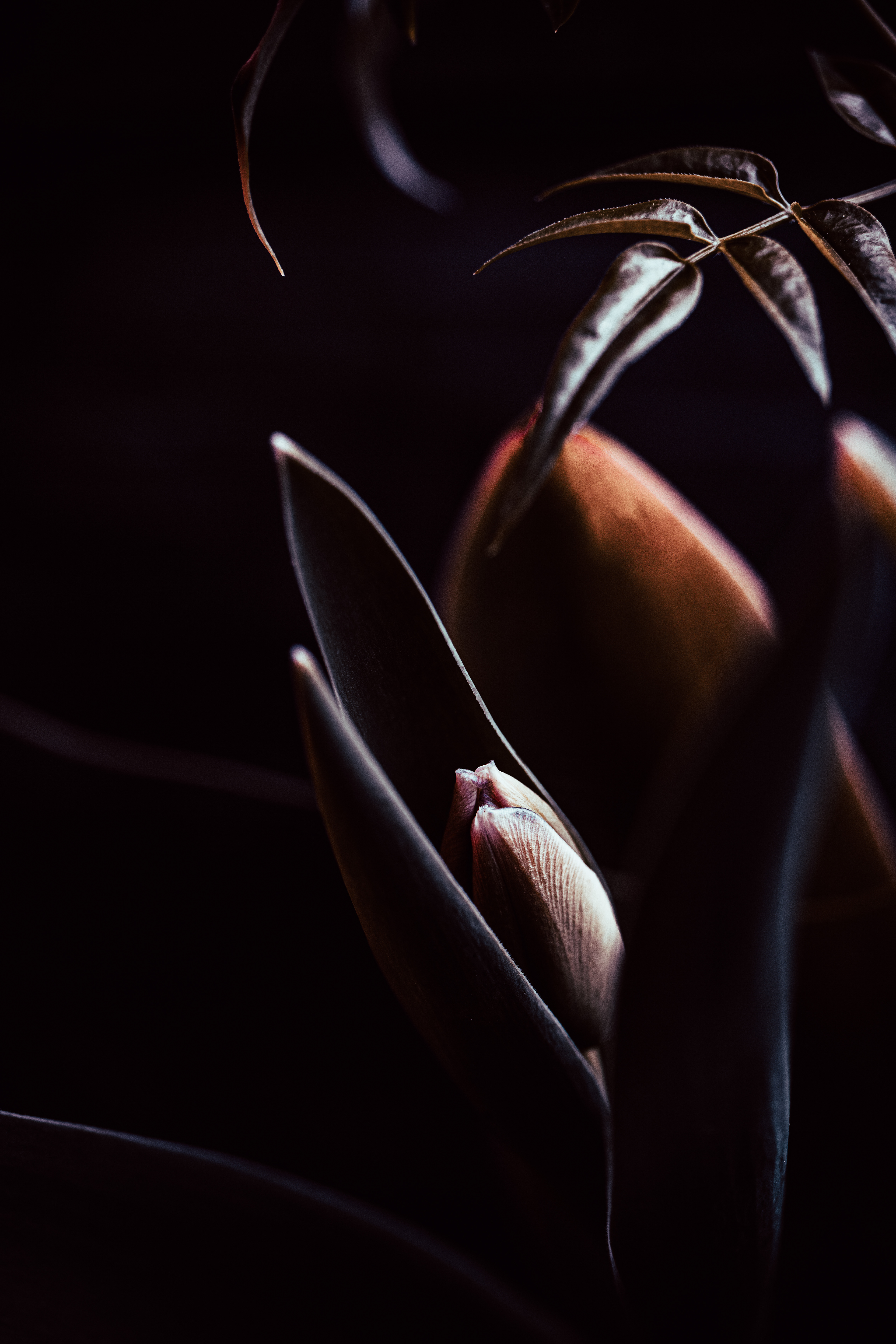 © Marion CALERO