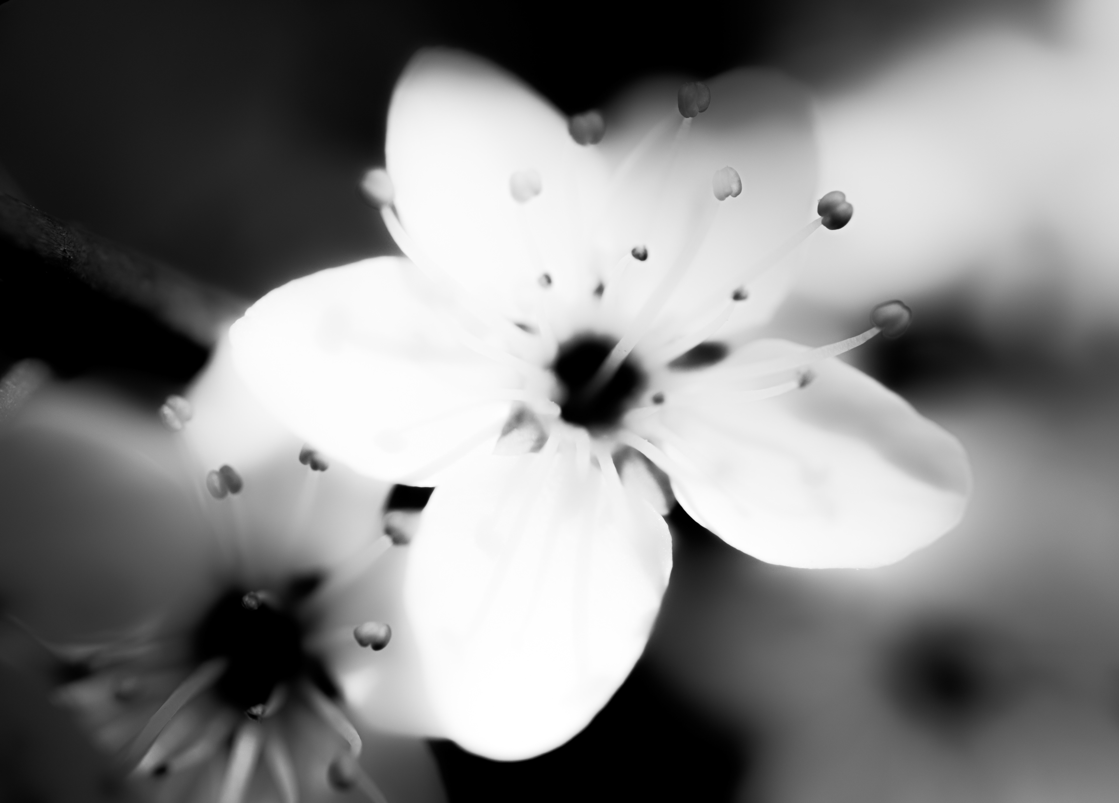 © Marion CALERO