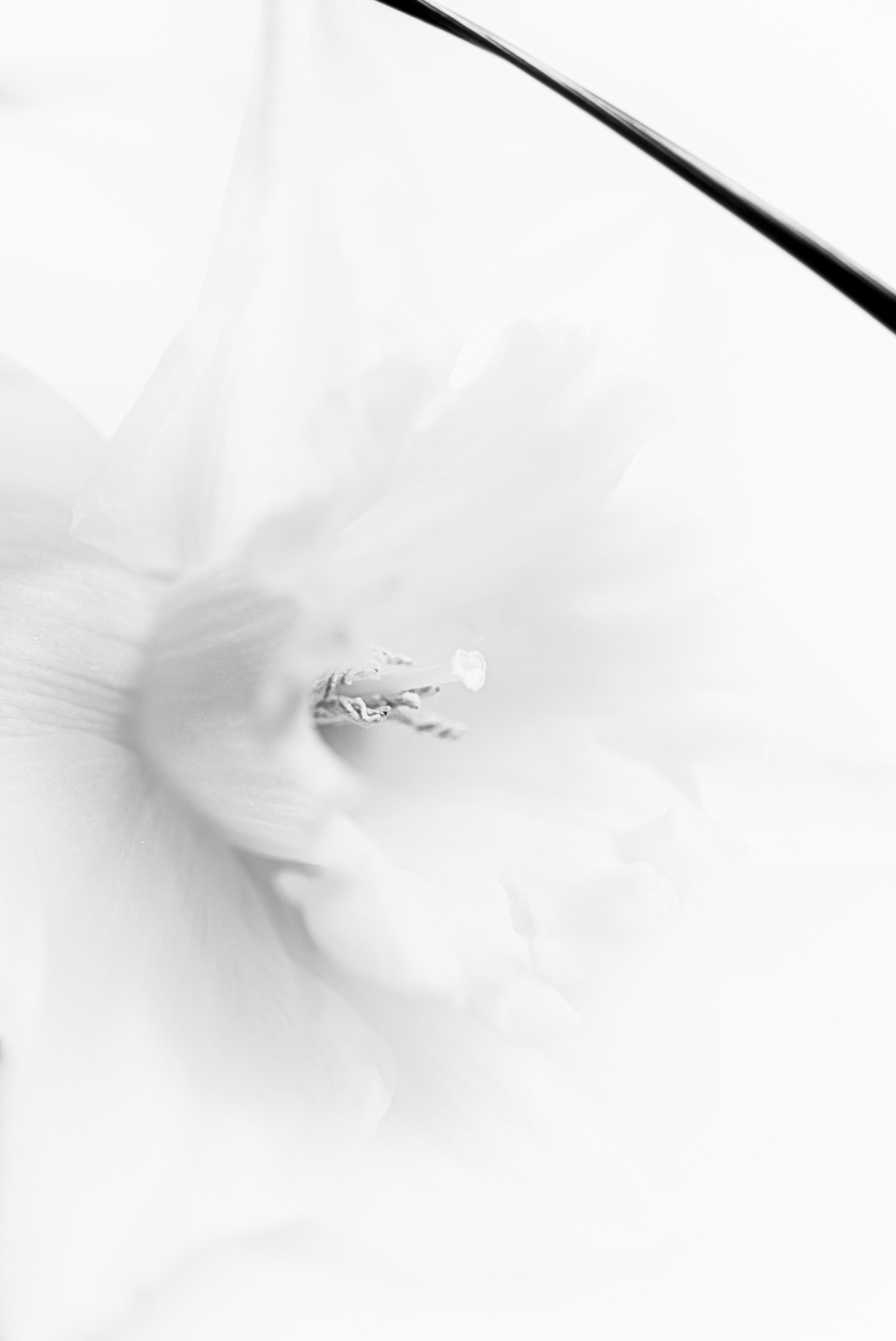 © Marion CALERO