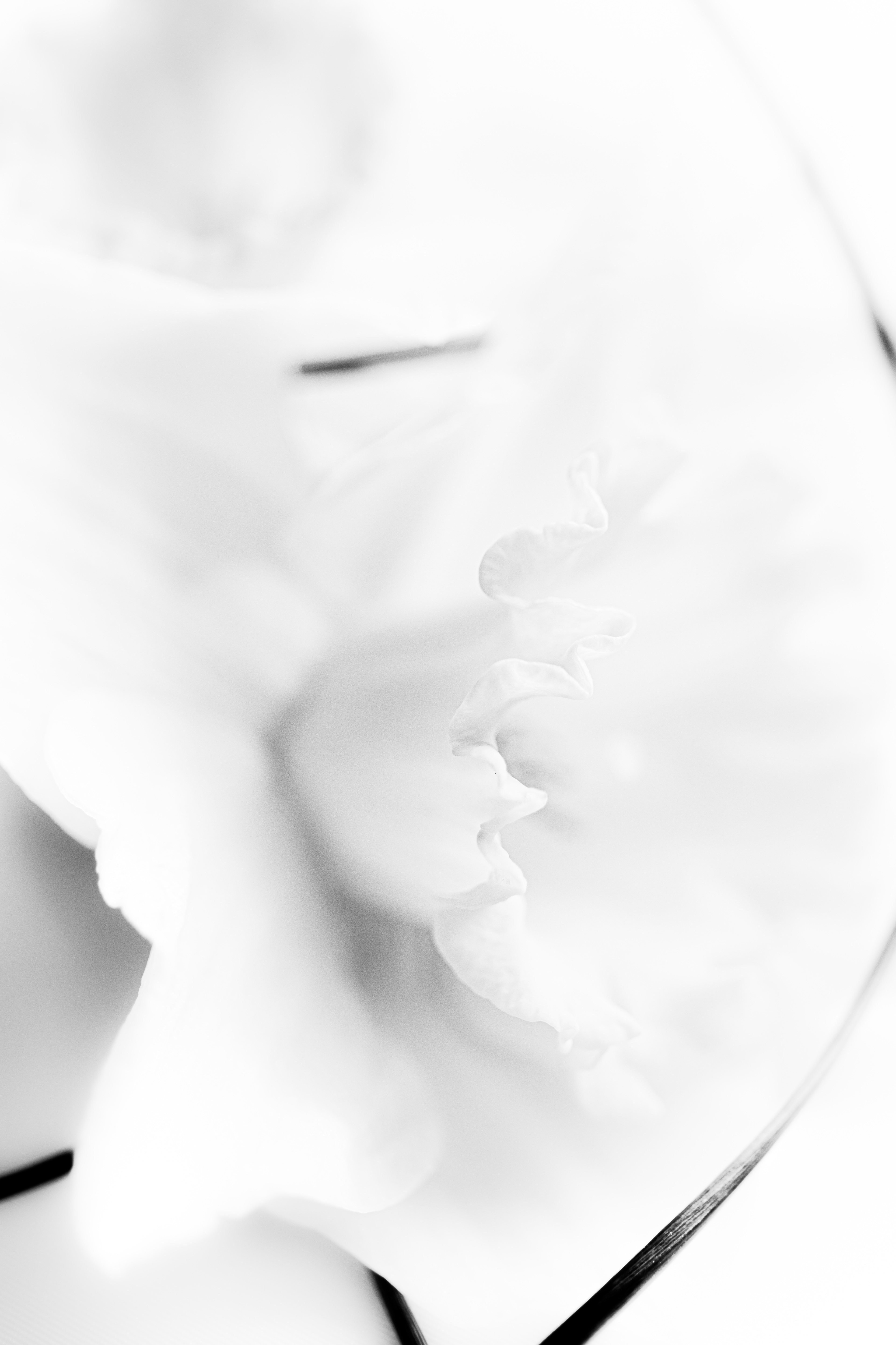 © Marion CALERO