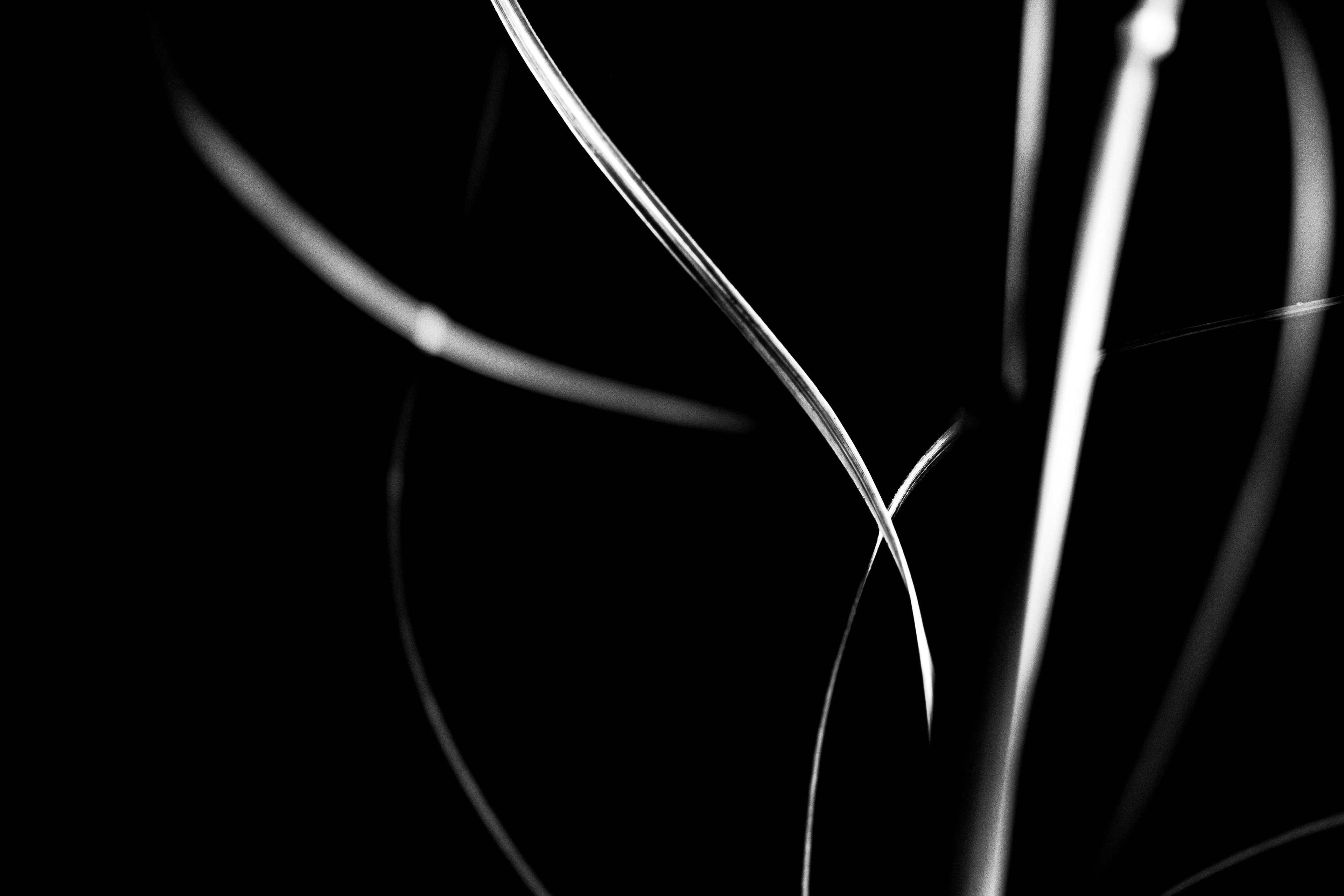 © Marion CALERO