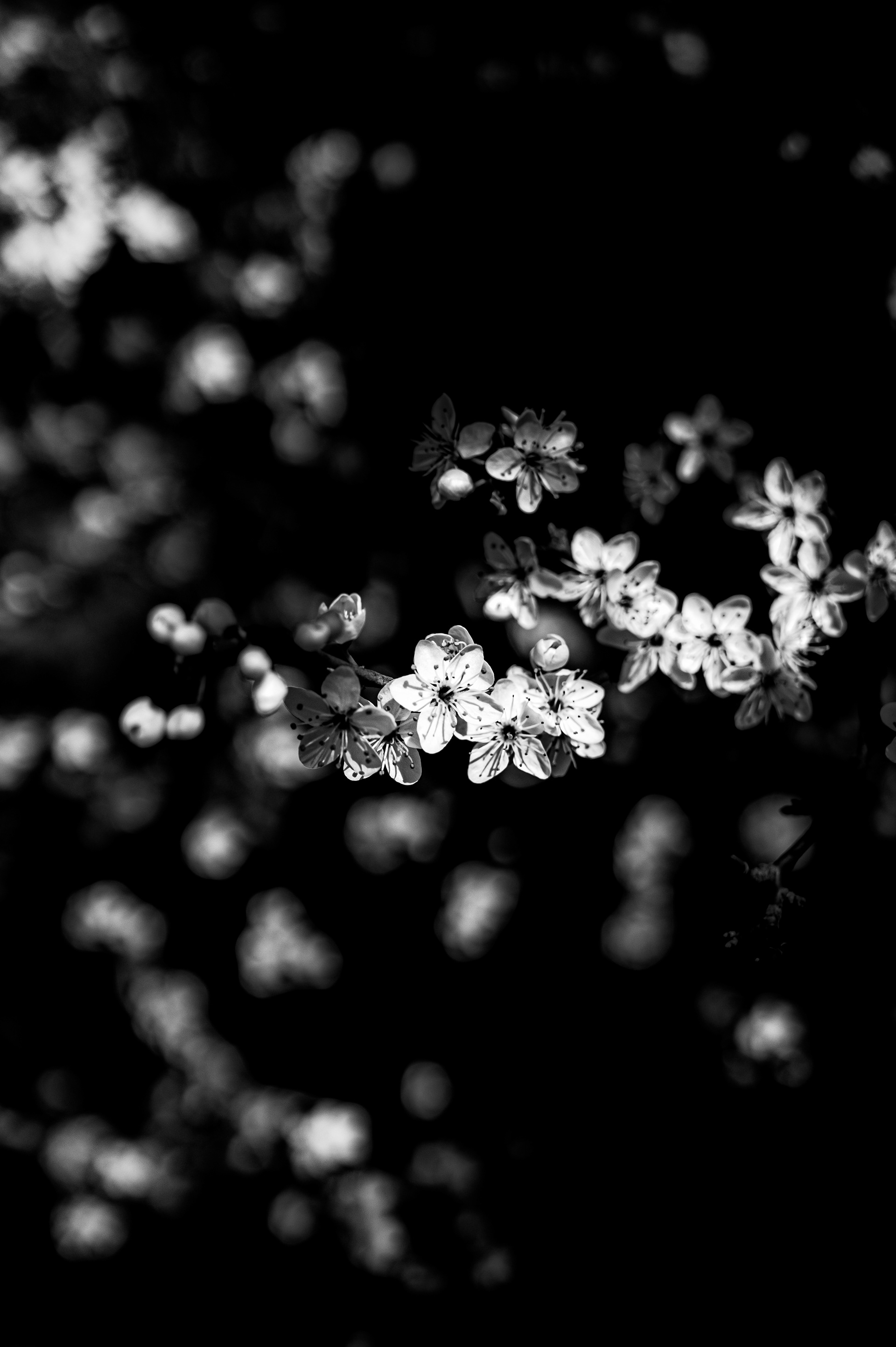 © Marion CALERO