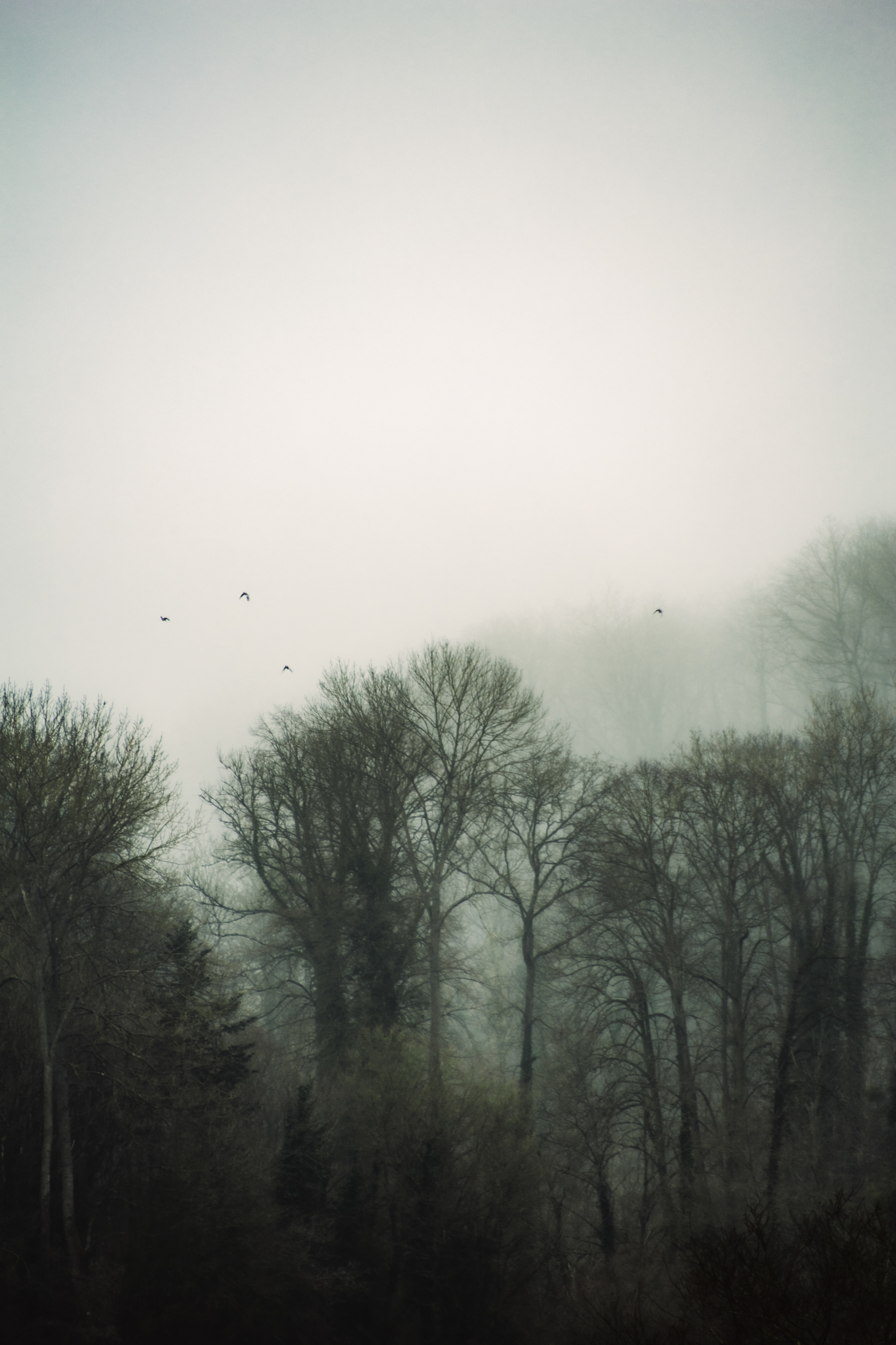 © Marion CALERO