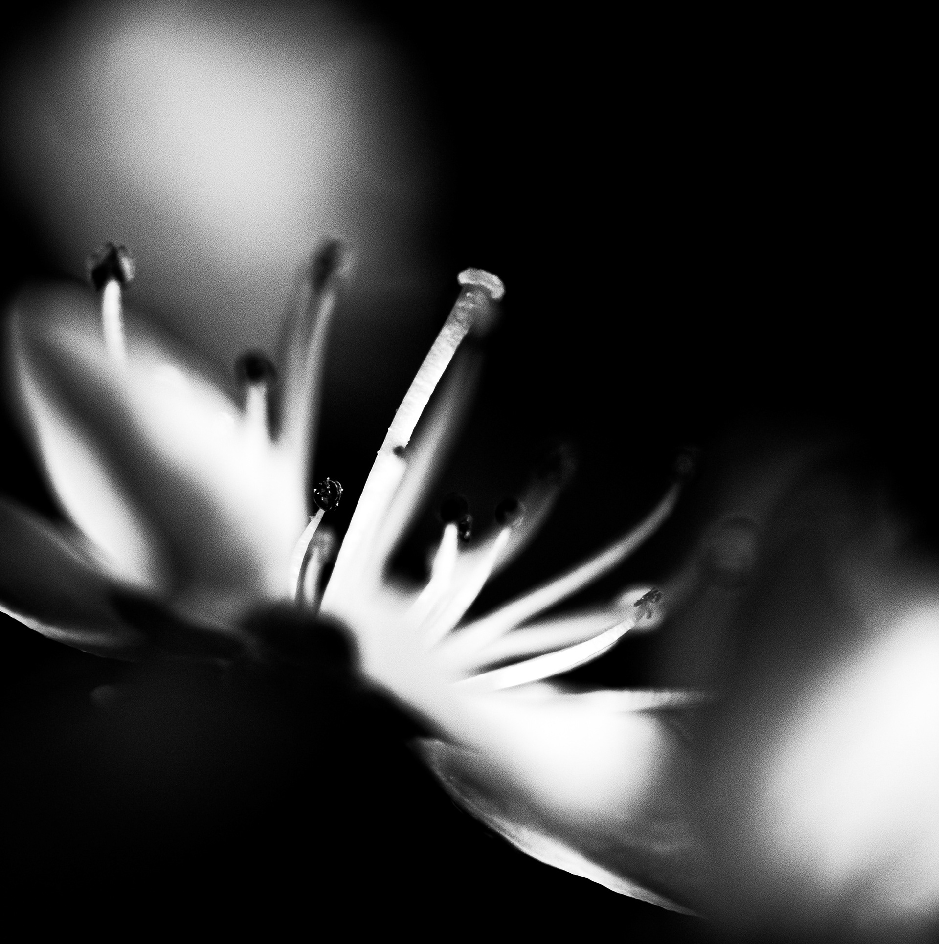 © Marion CALERO