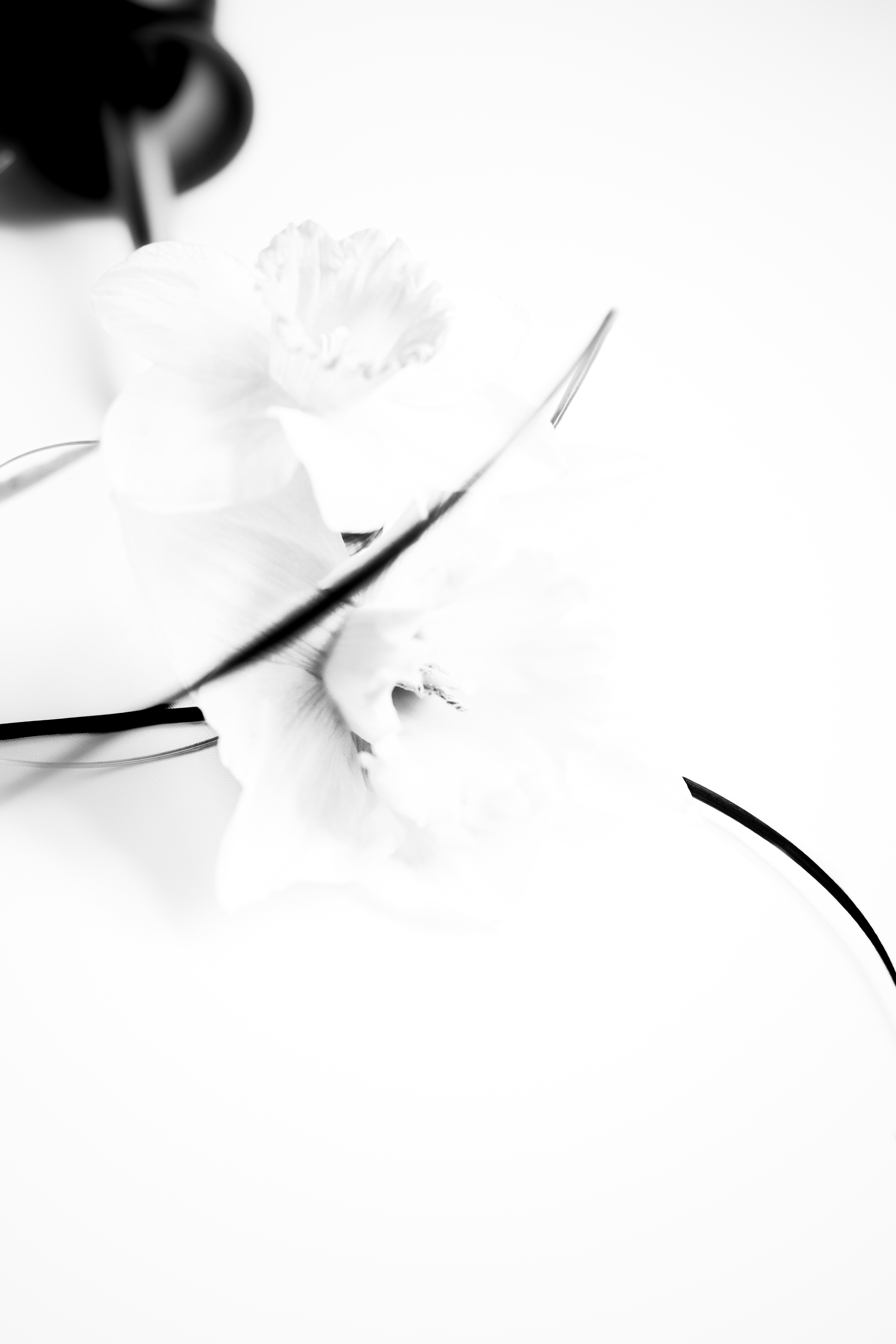 © Marion CALERO