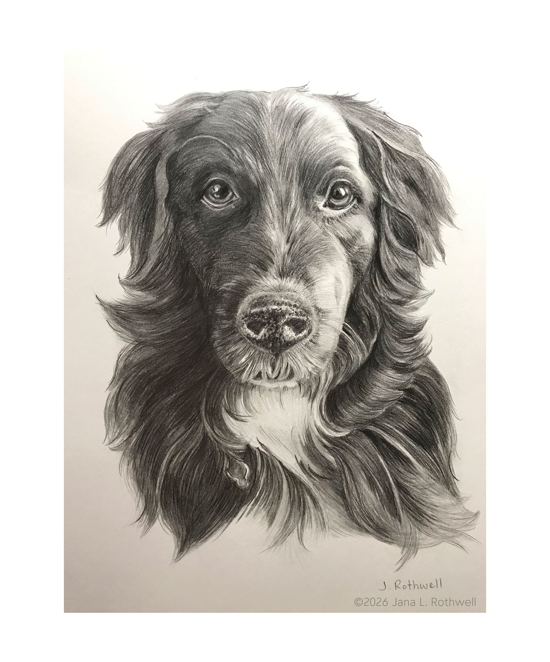 Cherry | Graphite