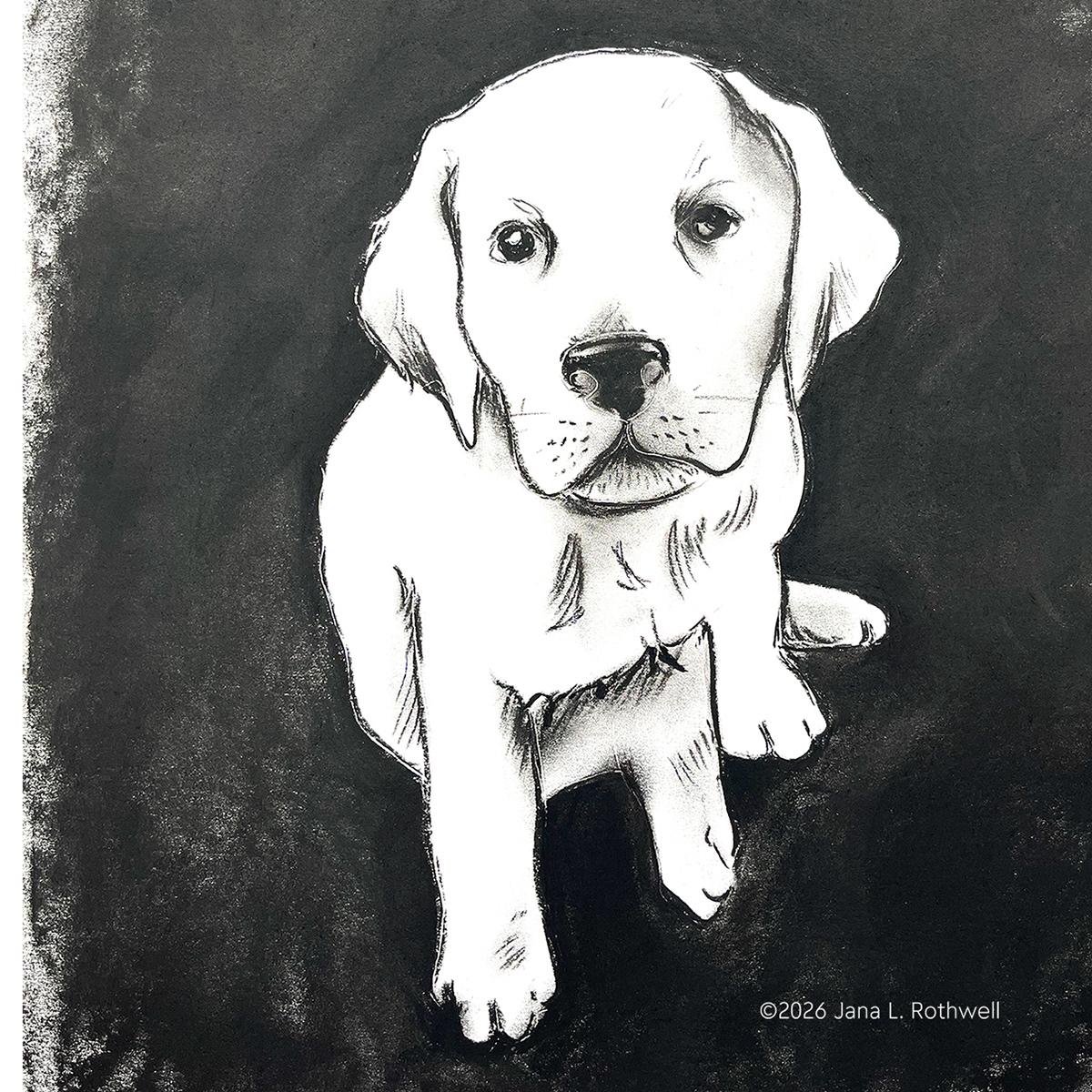 Indy | Charcoal