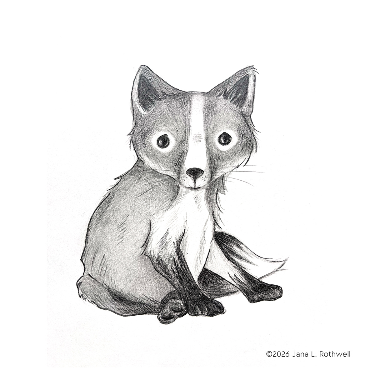 Little Fox | Graphite