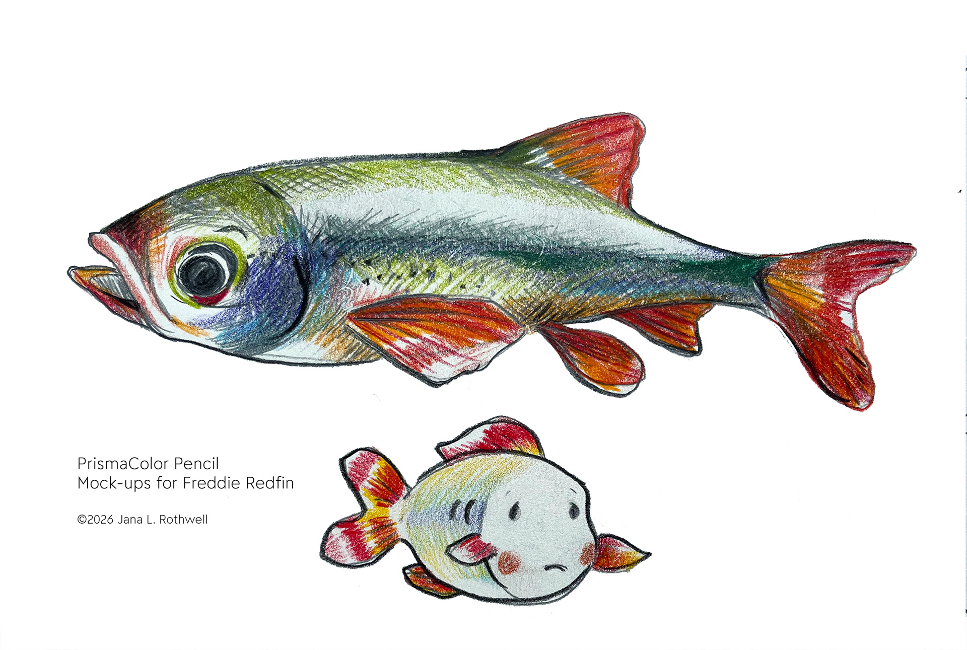 Preliminary Sketch | Prismacolor