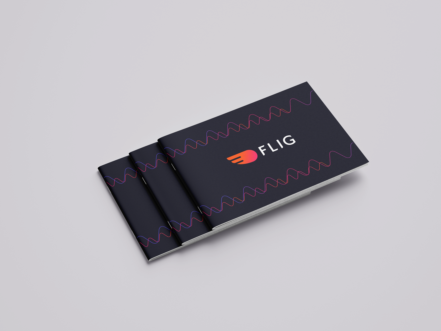 branding guide design sample #1