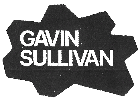 Gavin Sullivan