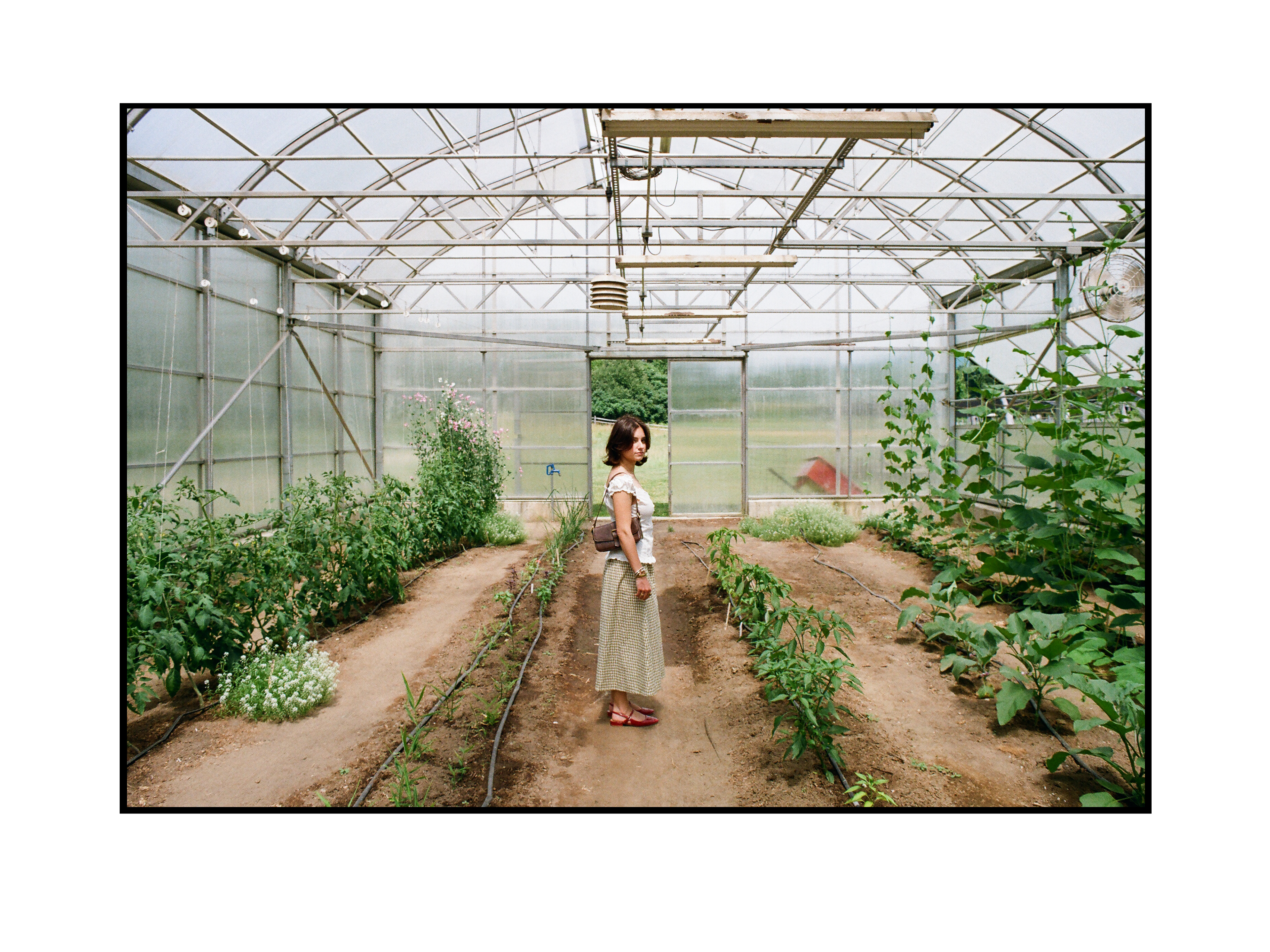 Meta in the Greenhouse (2025).