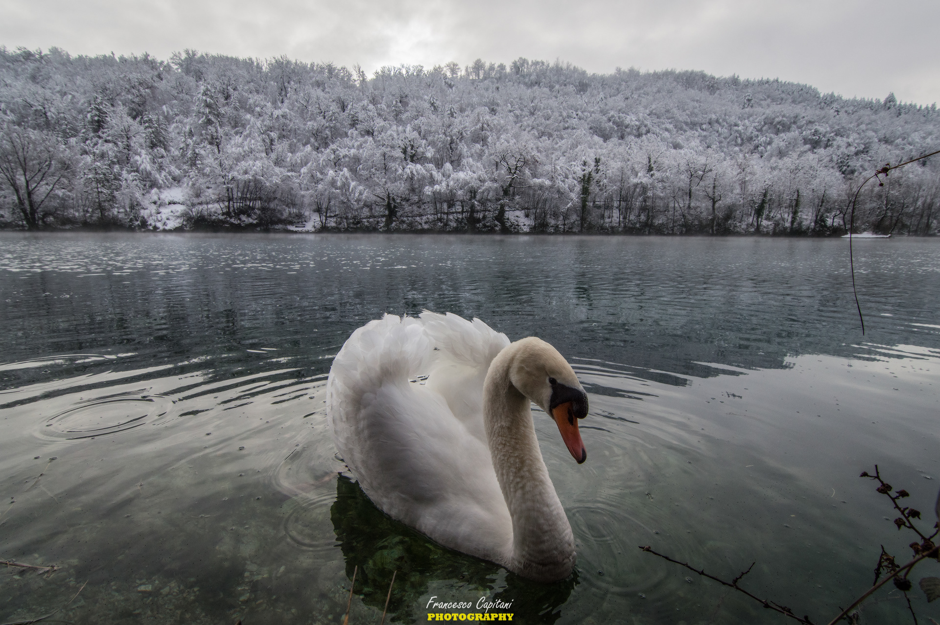 LAGO DI BOCCAFORNACE - VALFORNACE (MC)