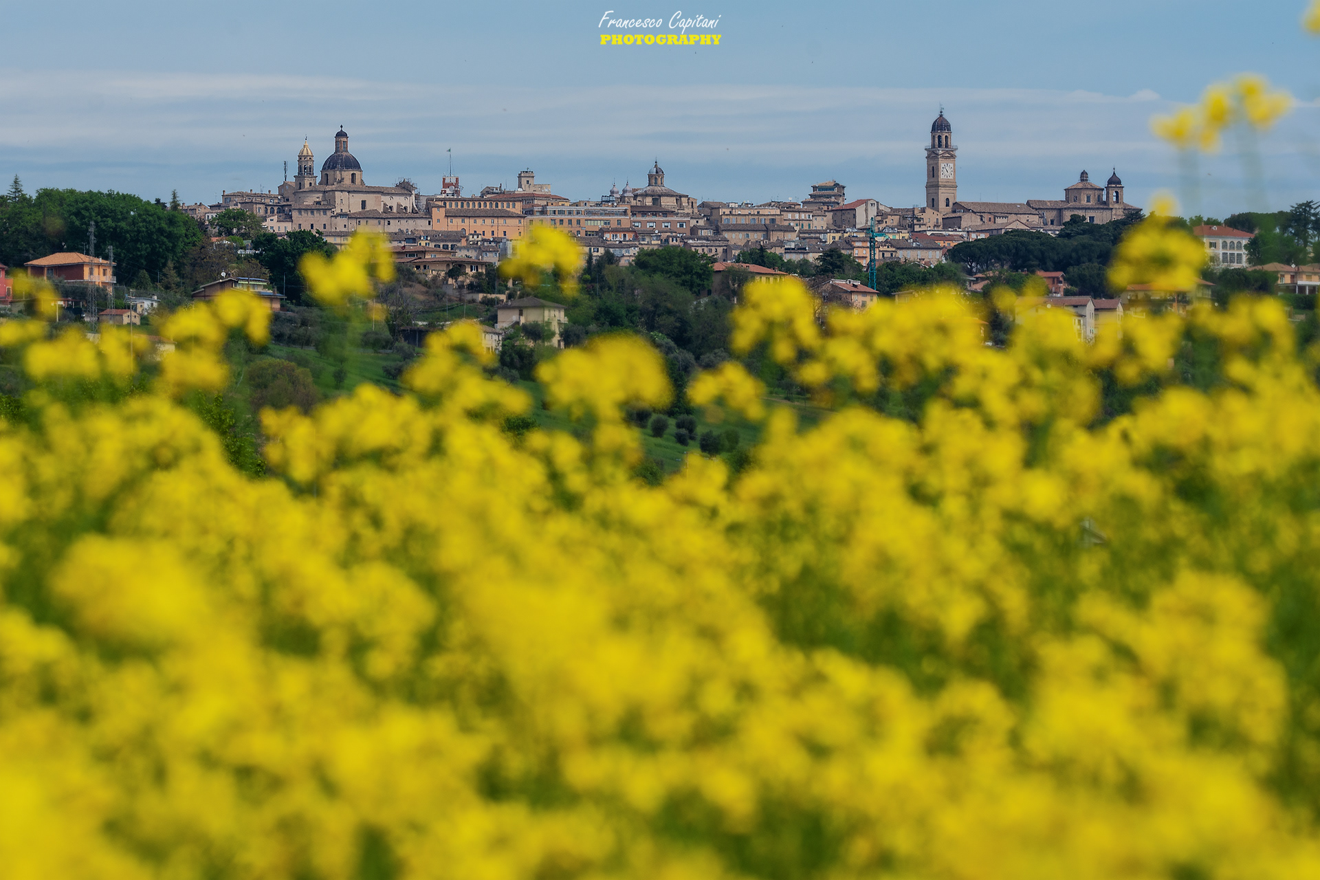 MACERATA