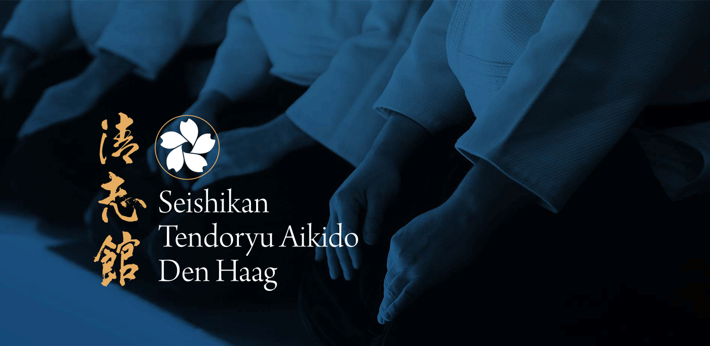 aikido art wallpaper