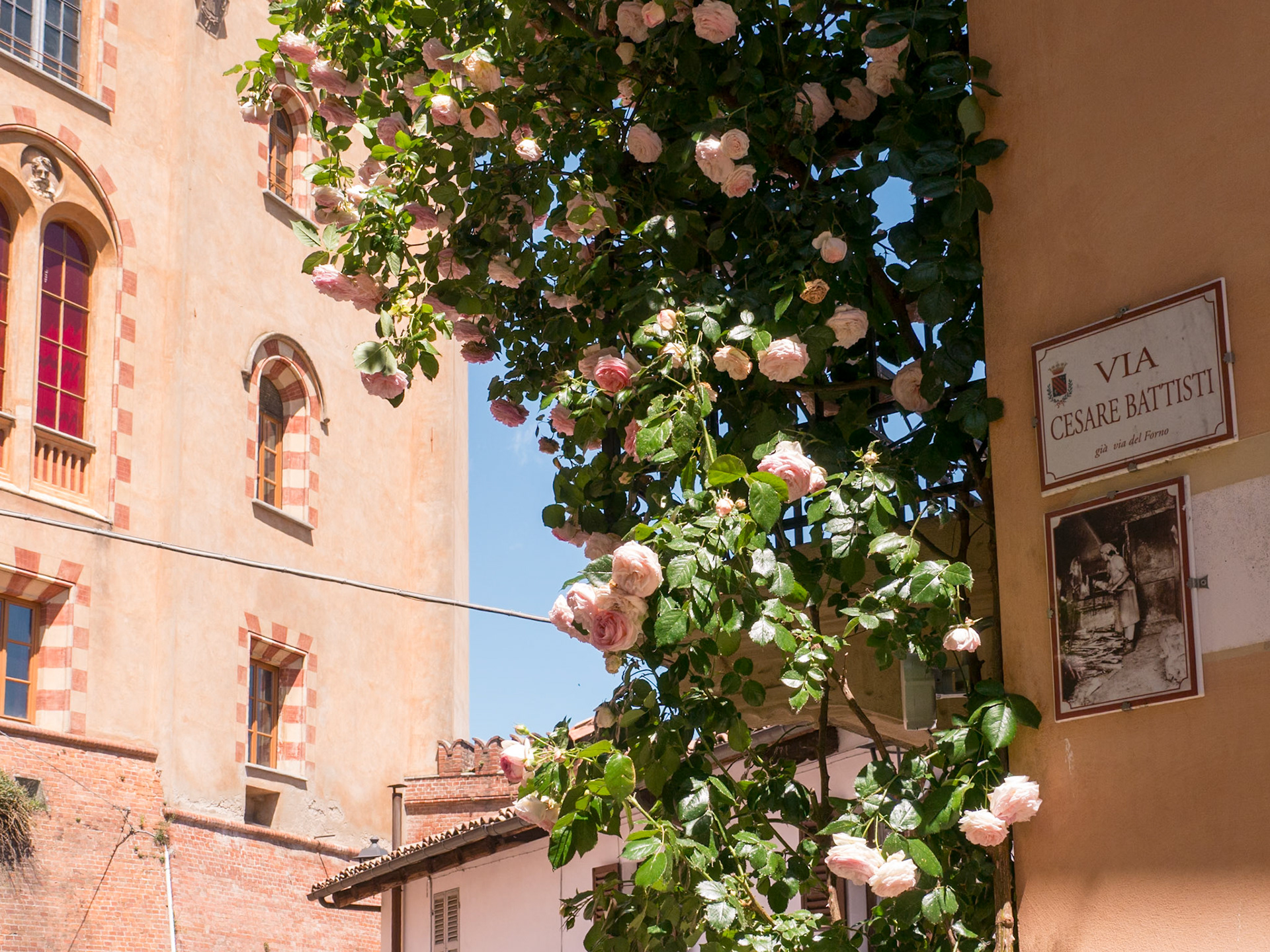 We loved the way the rosebush climed up this house [Barolo, Piemonte, Italy]