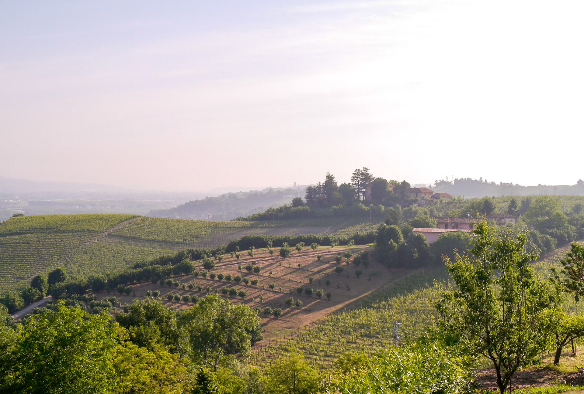 Early-morning views from our balcony [Provincia di Cuneo, Piemonte, Italy]