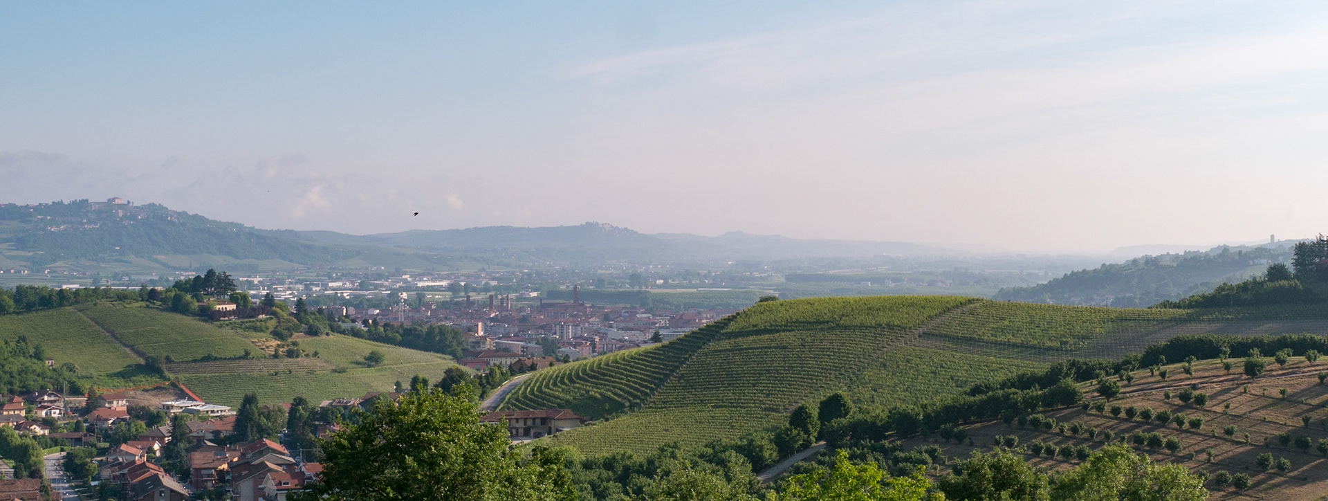 Early-morning views from our balcony [Provincia di Cuneo, Piemonte, Italy]