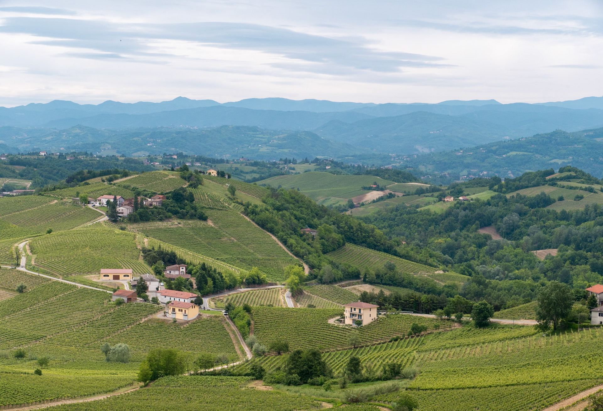 We looked at a house in this village [Alice Bel Colle, Piemonte, Italy]