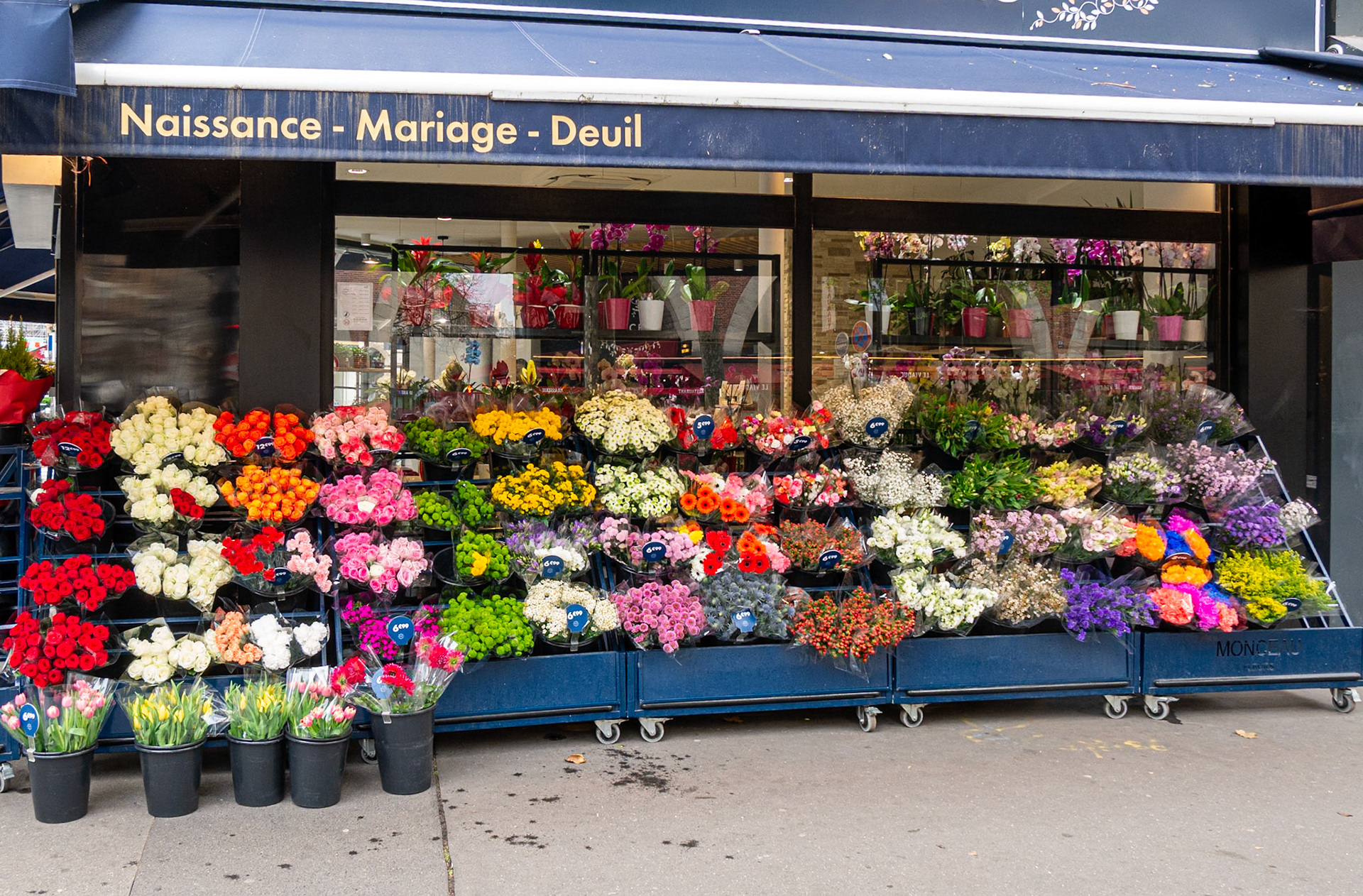 Even in November, a large selection of flowers [Paris, Île-de-France, France]