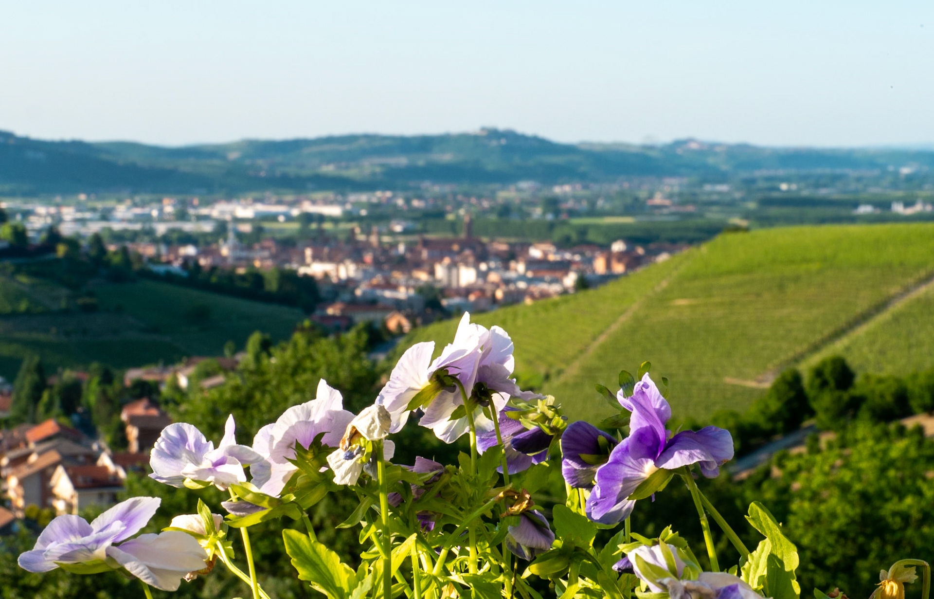Picnic dinner on the terrace [Provincia di Cuneo, Piemonte, Italy]