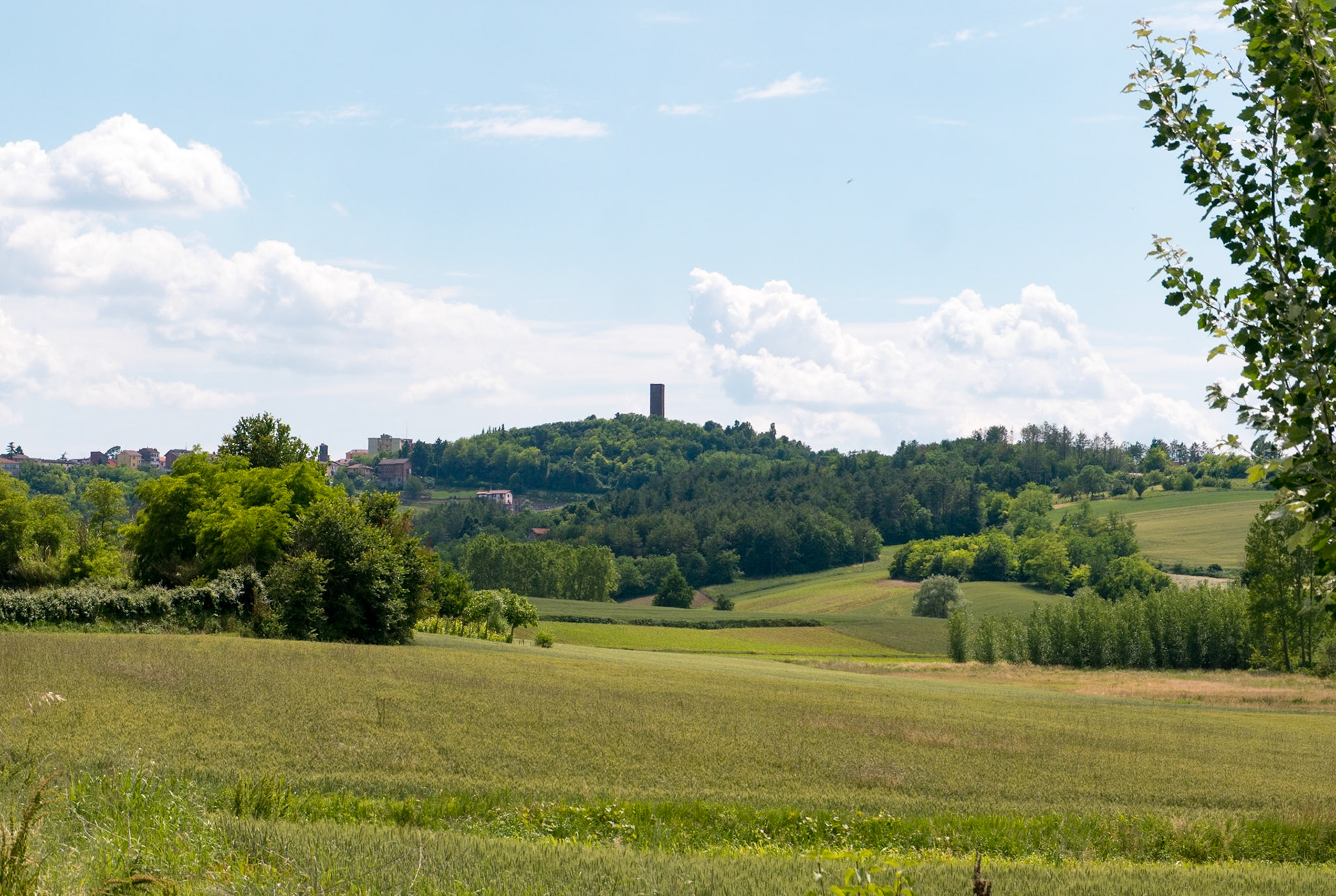 Pretty rolling countryside [Provincia di Alessandria, Piemonte, Italy]