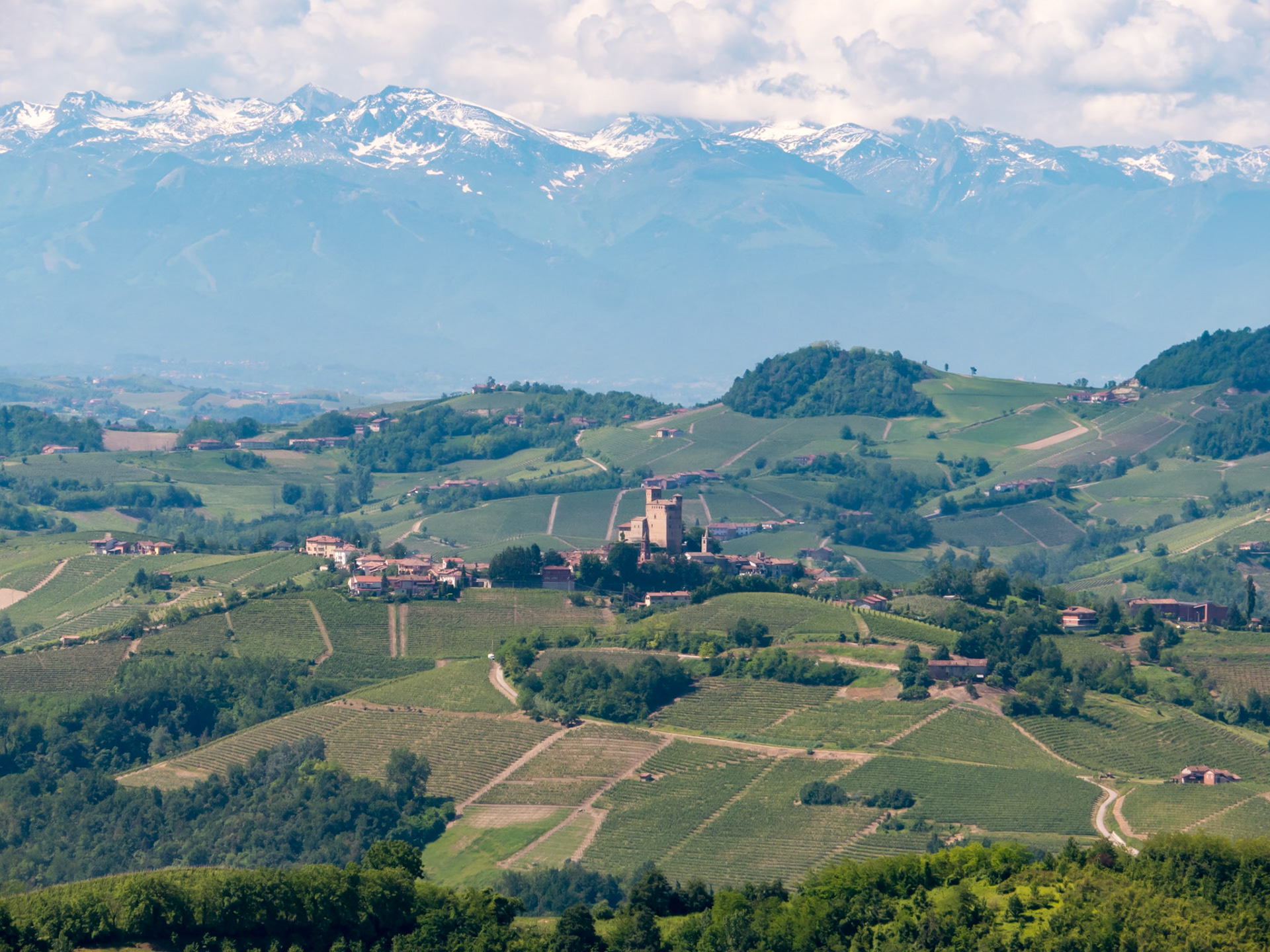 The view from the lookout point was splendid [Diano d'Alba, Piemonte, Italy]
