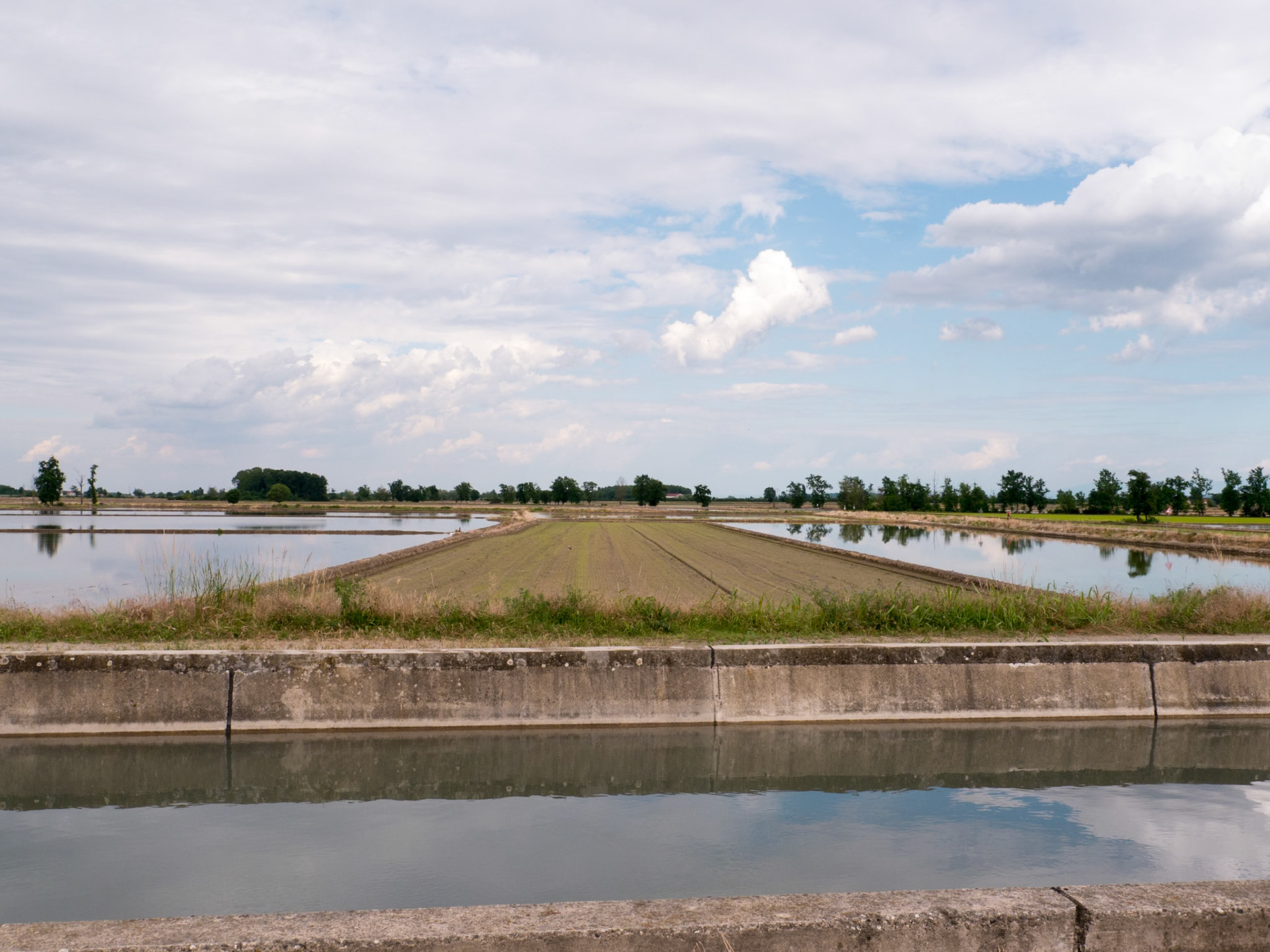 Following the canal through the rice fields back to Casale Monferrato [Provincia di Alessandria, Piemonte, Italy]