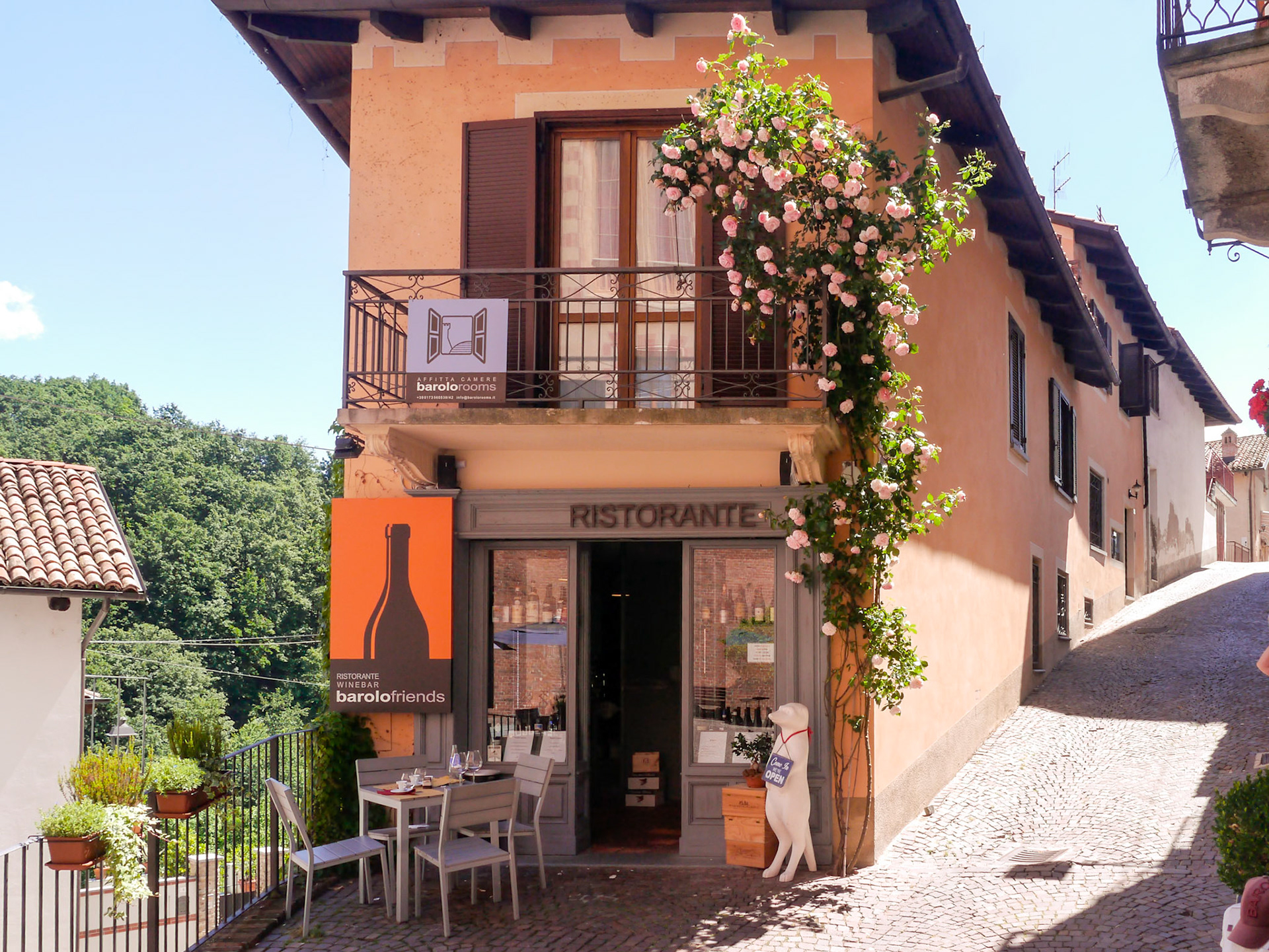 We loved the way the rosebush climed up this house [Barolo, Piemonte, Italy]