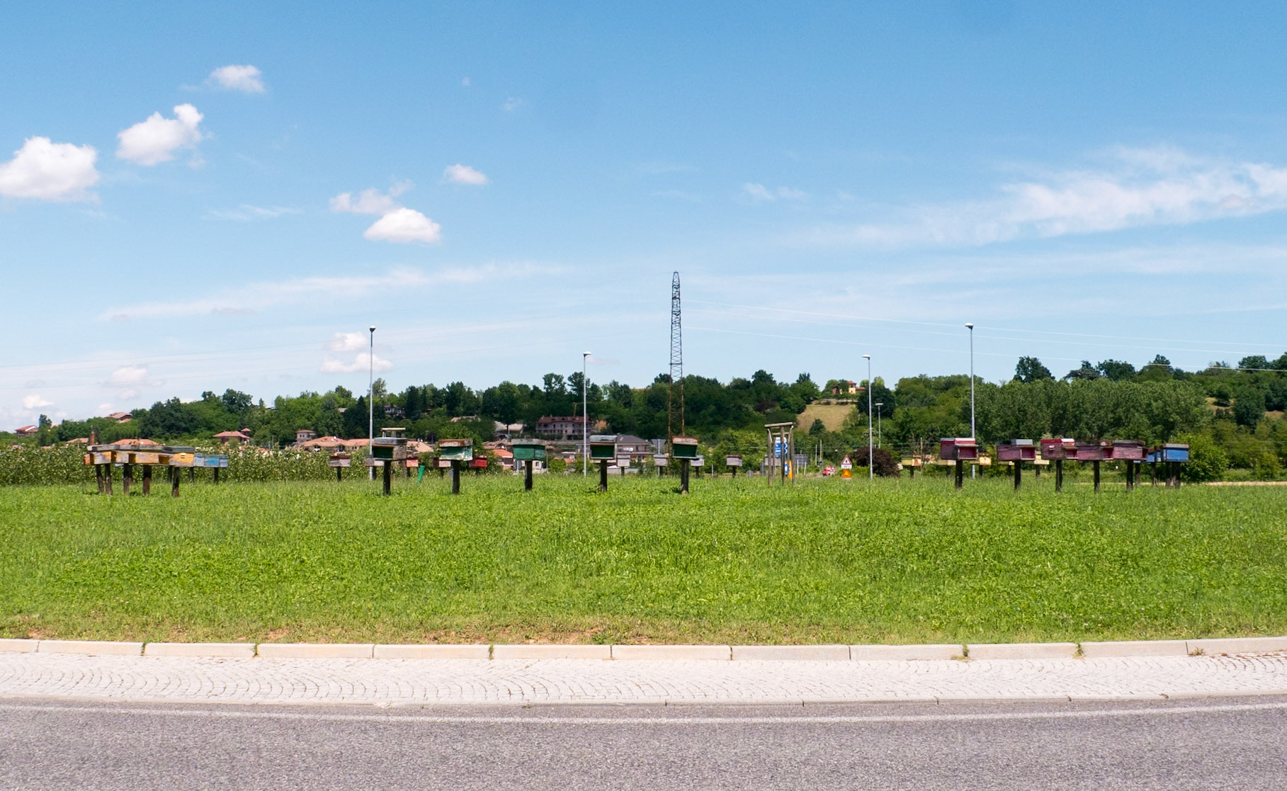 This traffic roundabout was a bee habitat! [Provincia di Cuneo, Piemonte, Italy]