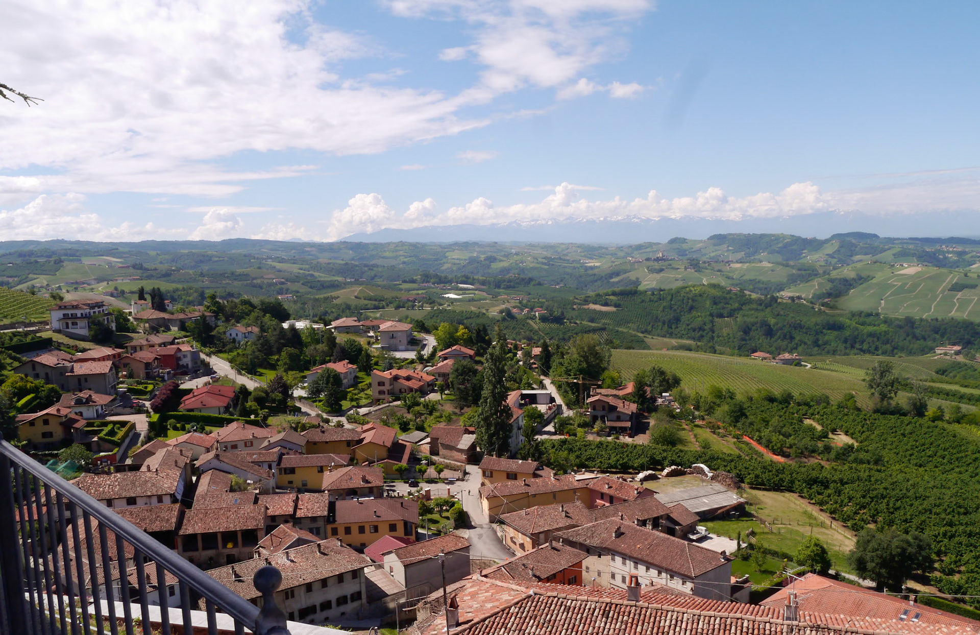 The view from the lookout point was splendid [Diano d'Alba, Piemonte, Italy]