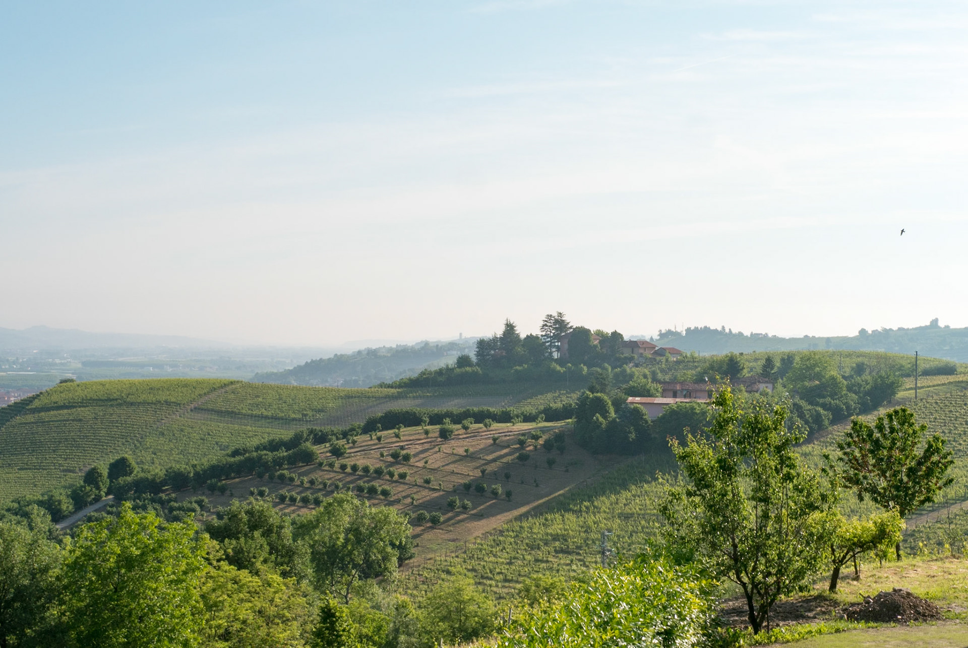 Early-morning views from our balcony [Provincia di Cuneo, Piemonte, Italy]